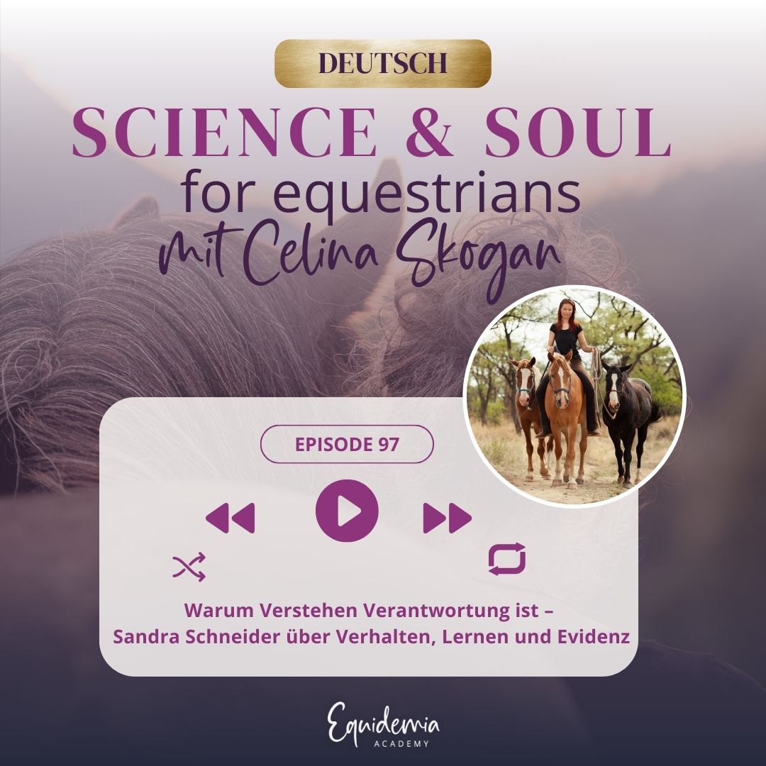Warum Verstehen Verantwortung ist – Sandra Schneider über Verhalten, Lernen und Evidenz