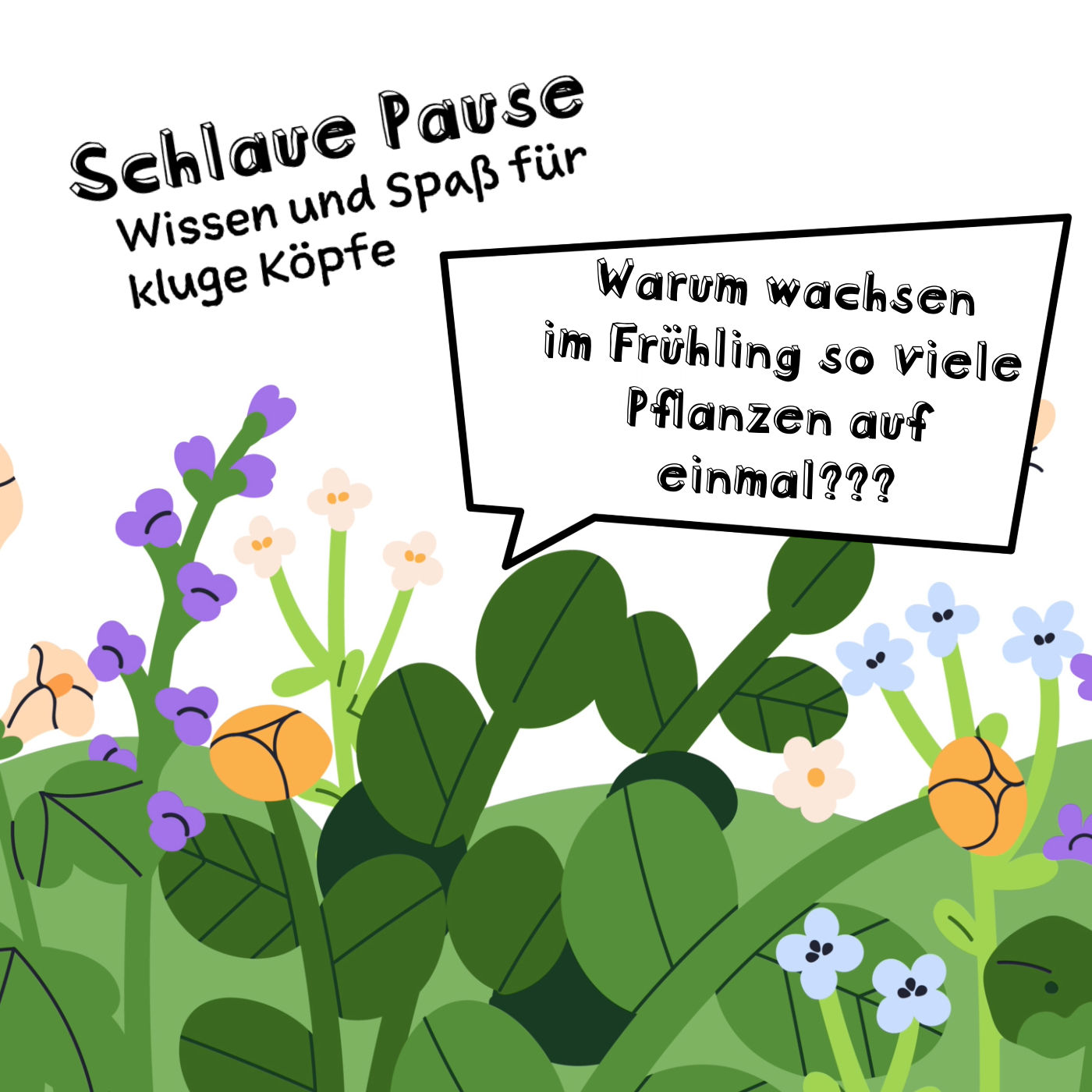 Warum wachsen im Frühling so viele Pflanzen auf einmal?