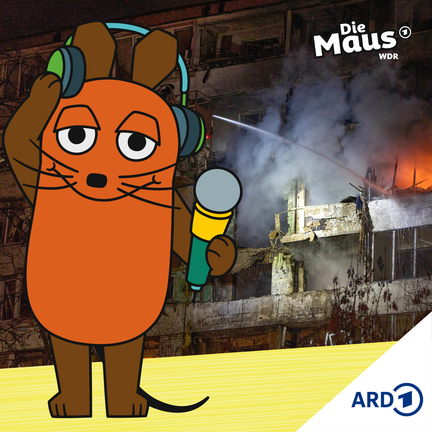 Was bedeutet der US-amerikanische Friedensplan für die Ukraine?