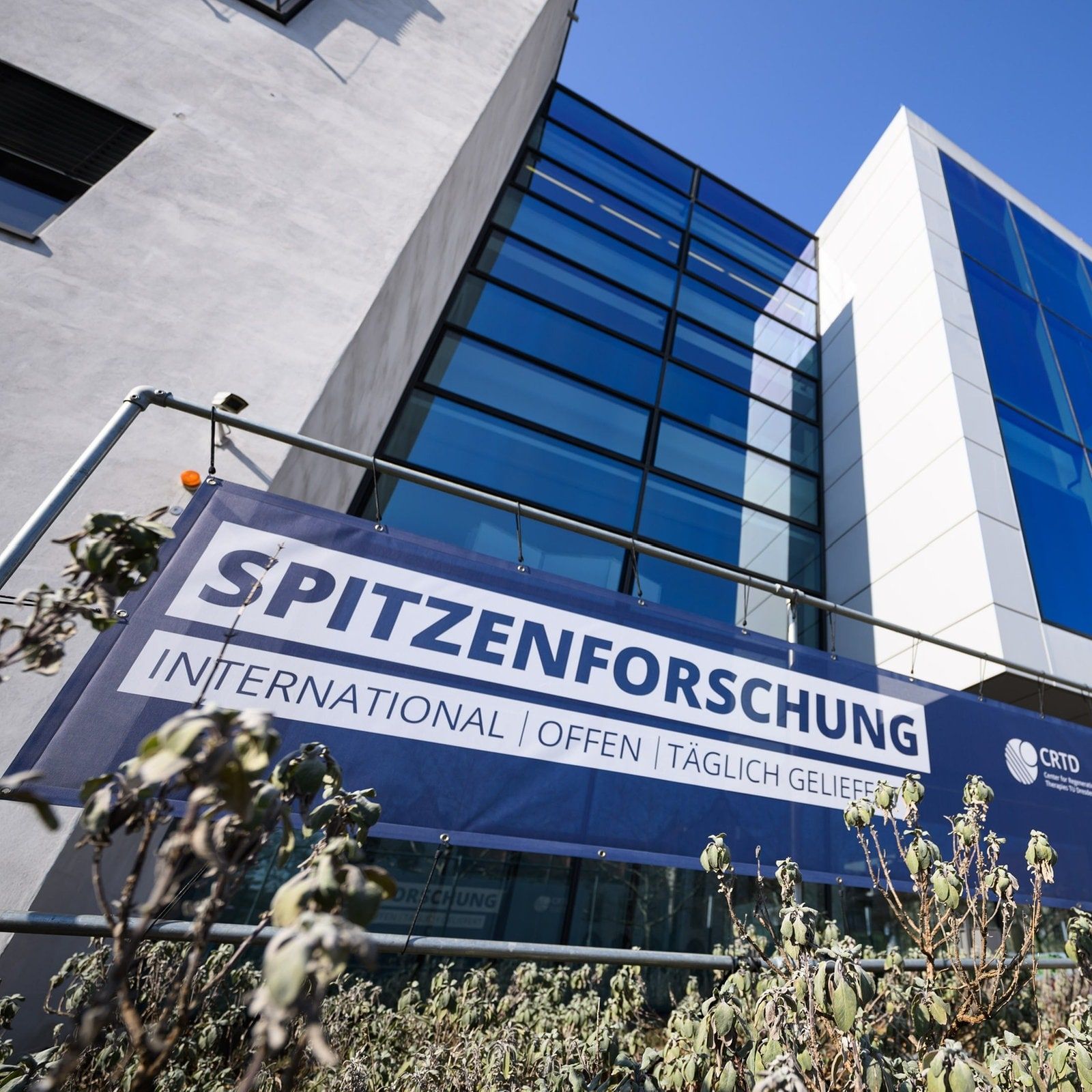 Was bringt der Titel Exzellenzuniversität für die TU Dresden?