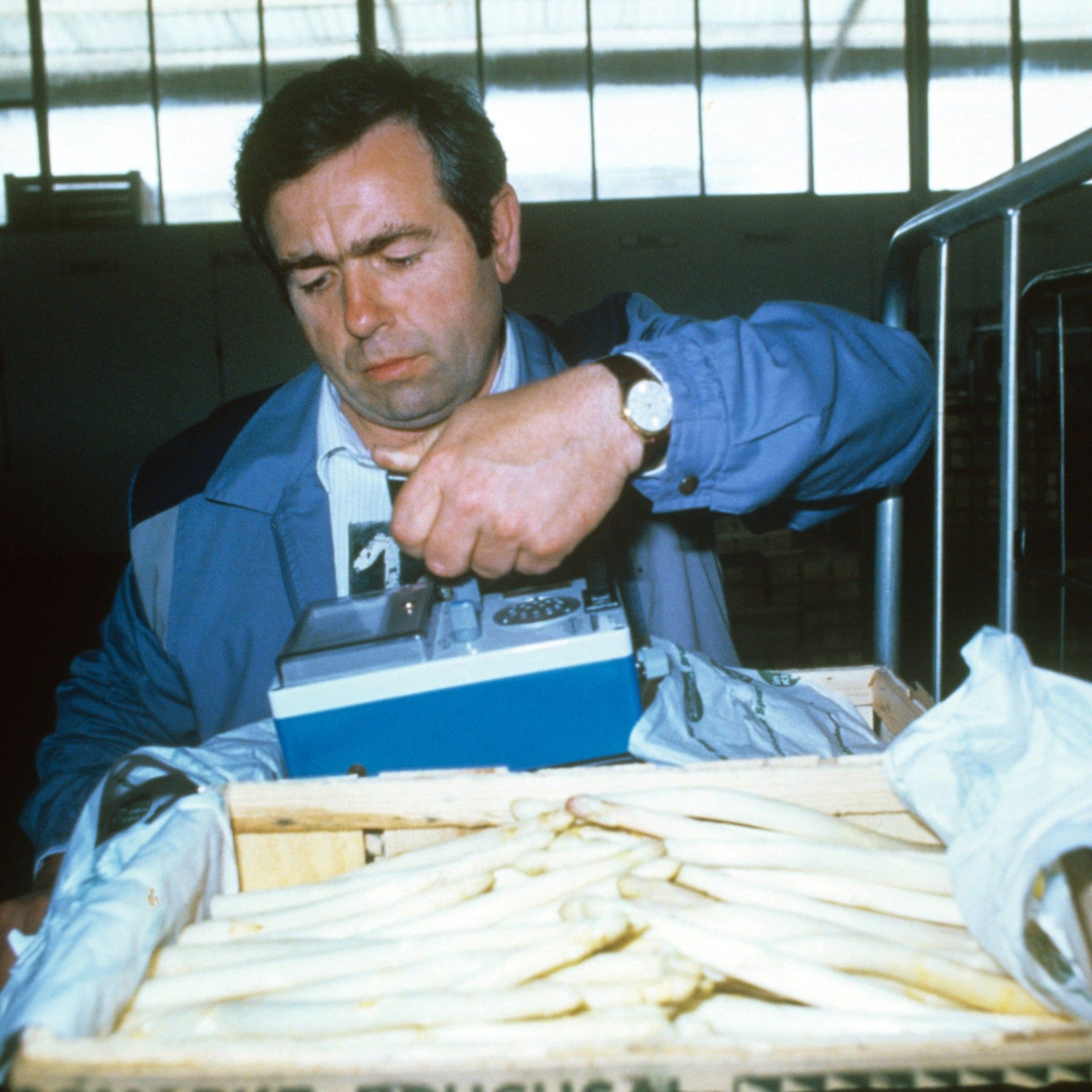 Nach der Giftwolke: Was darf man noch essen? | 6.5.1986 | Tschernobyl