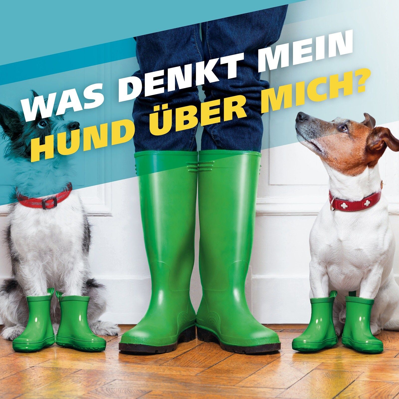 Was denkt mein Hund über mich?