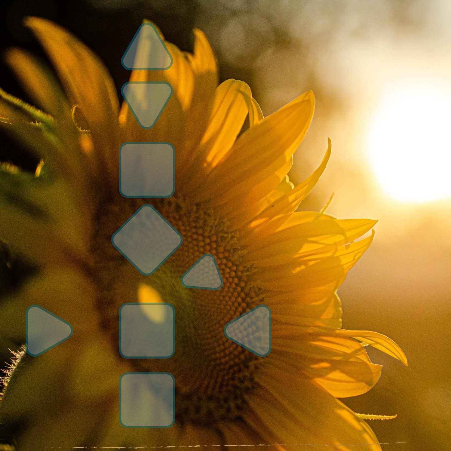 Was der Eintritt ins 3te Quartal für Dich bedeutet