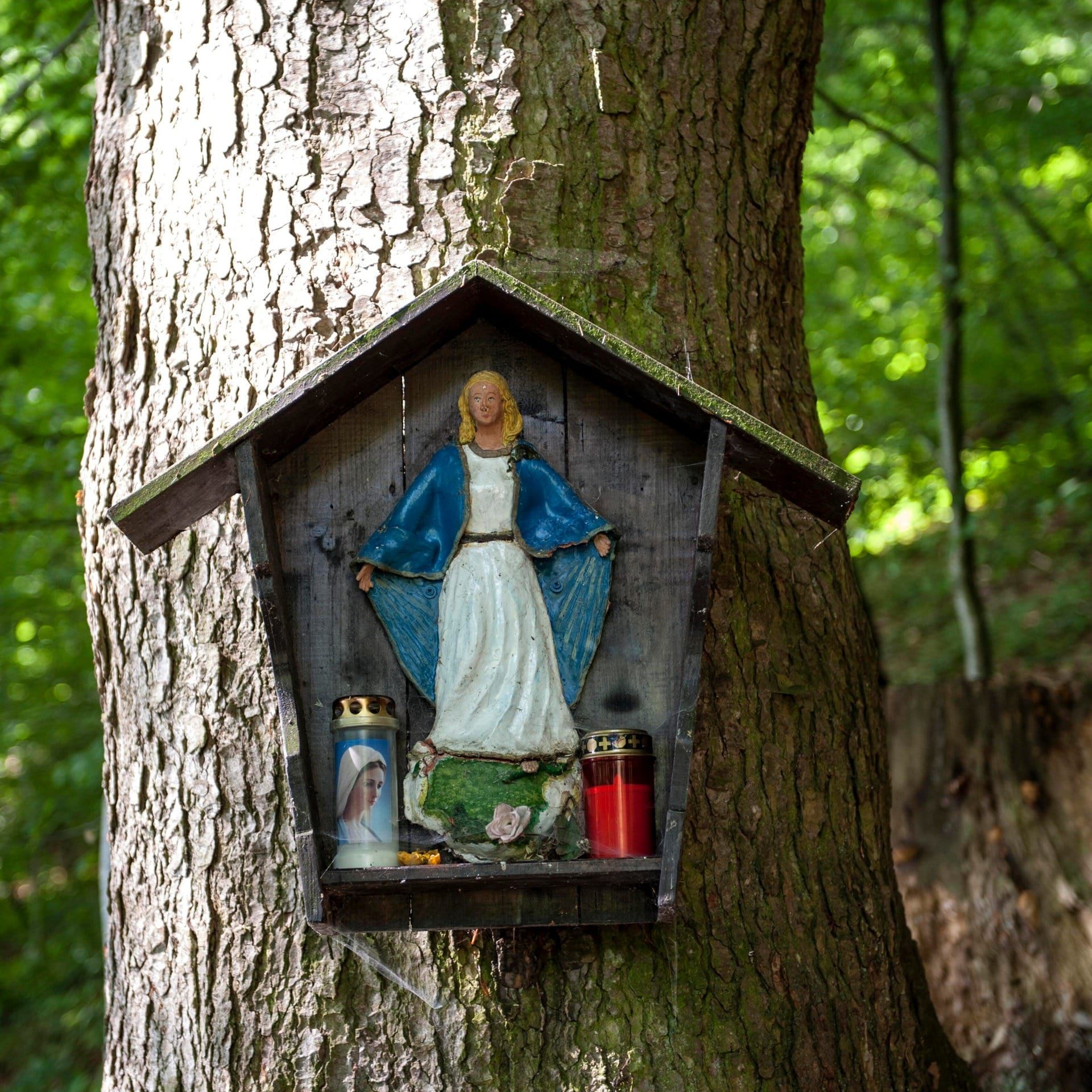 Was hat die "Marotte" mit der biblischen Maria zu tun?