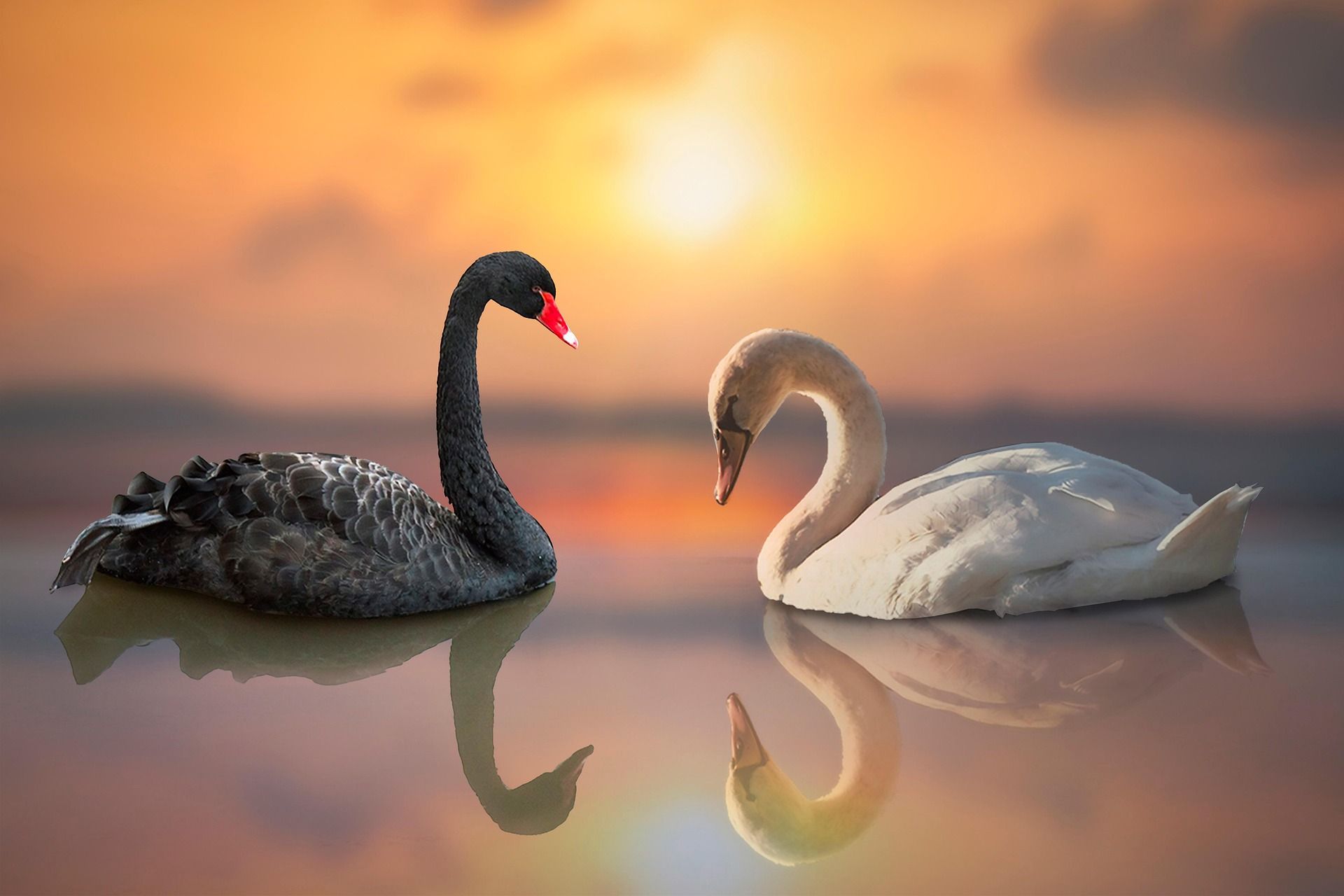 Was ist ein Leben ohne Tod?