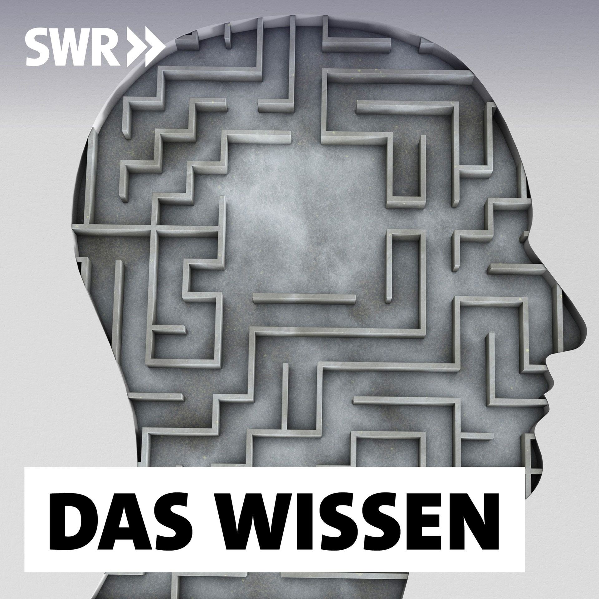 Was ist gute Psychotherapie?