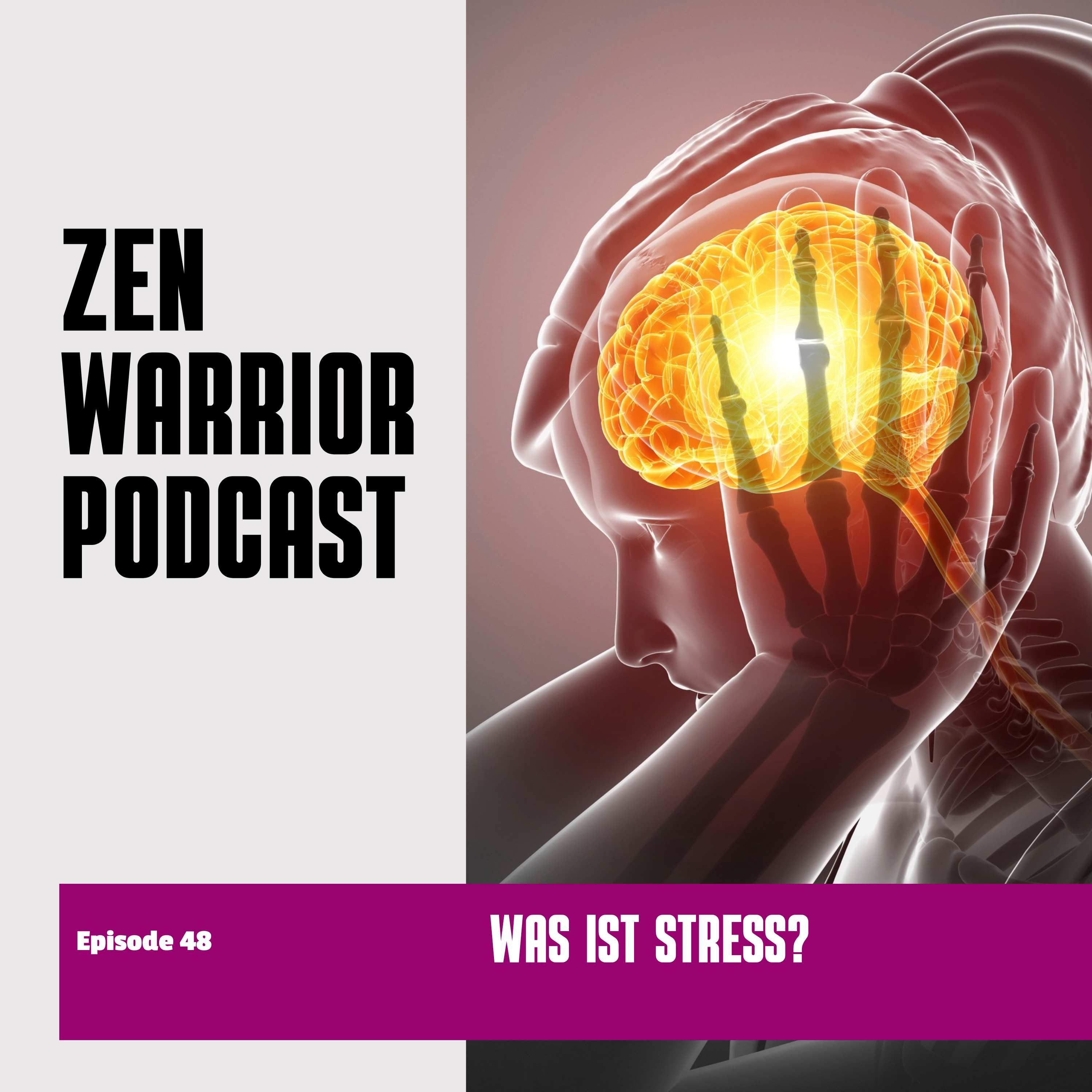 Was ist Stress?: Zen Warrior Podcast Episode #48