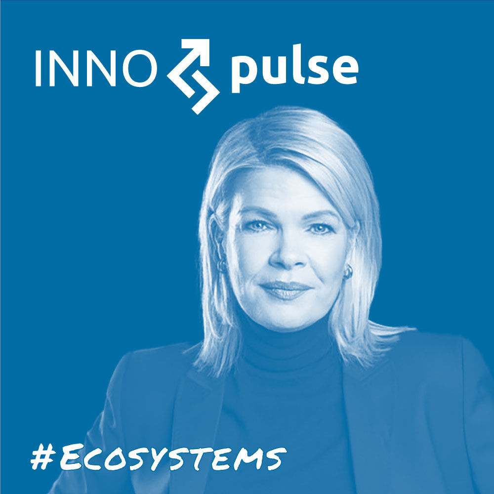Was können Wirtschaftsförderungen wirklich? Innovationsbeschleuniger oder Schreibtischtäter?