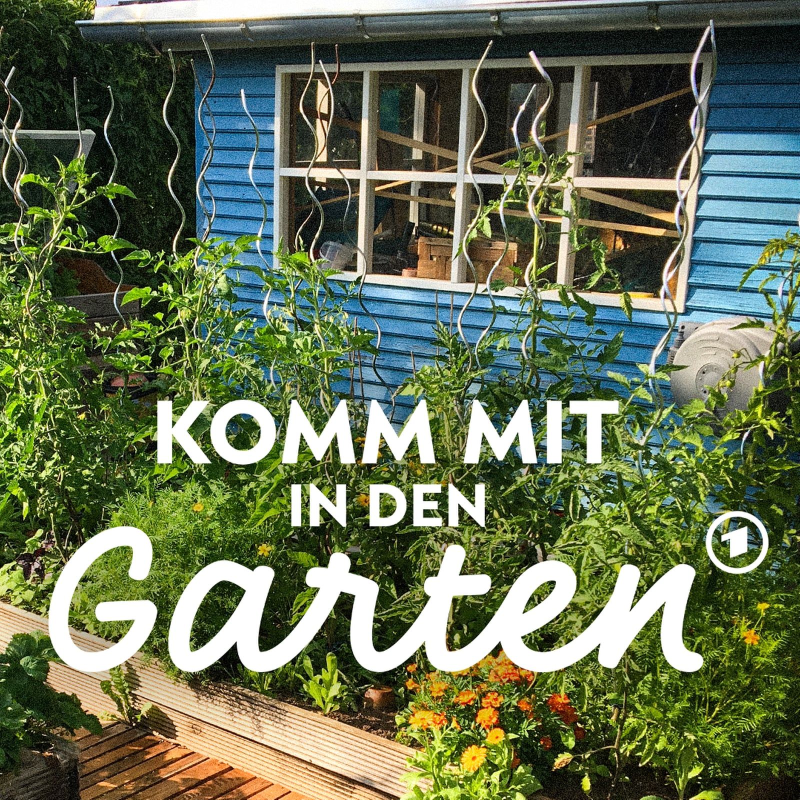 Was macht ein Kleingartenfachberater?