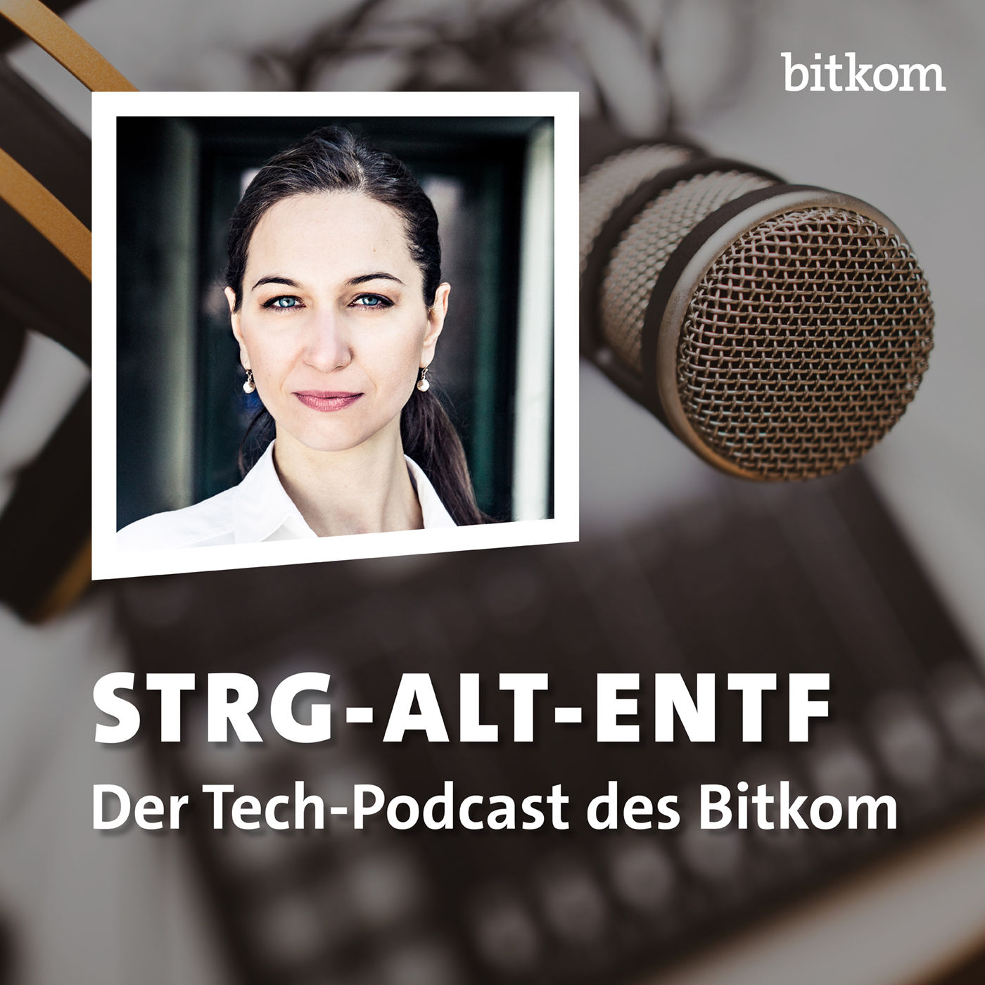 Was sind digitale Desinformationskampagnen, Tabea Wilke (Gründerin Twincler)?