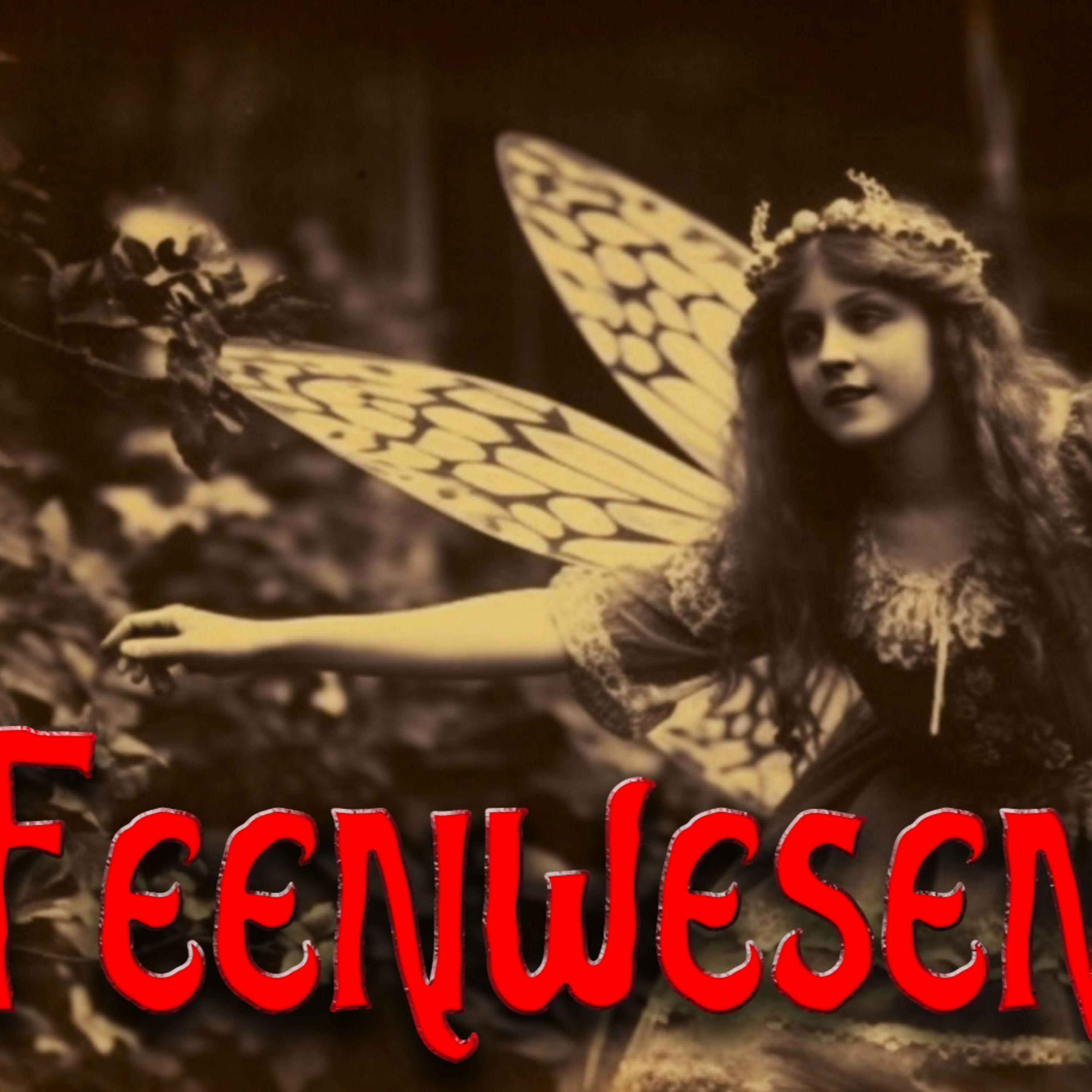 Was sind eigentlich Feen? Eine kleine Reise in die Welt dieser mythischen Wesen.