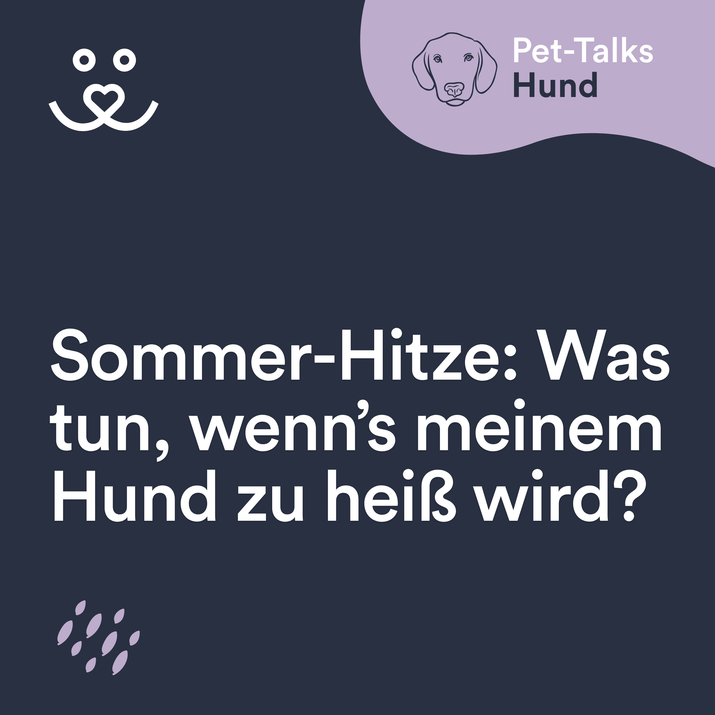 Was tun, wenn’s meinem Hund im Sommer zu heiß wird?