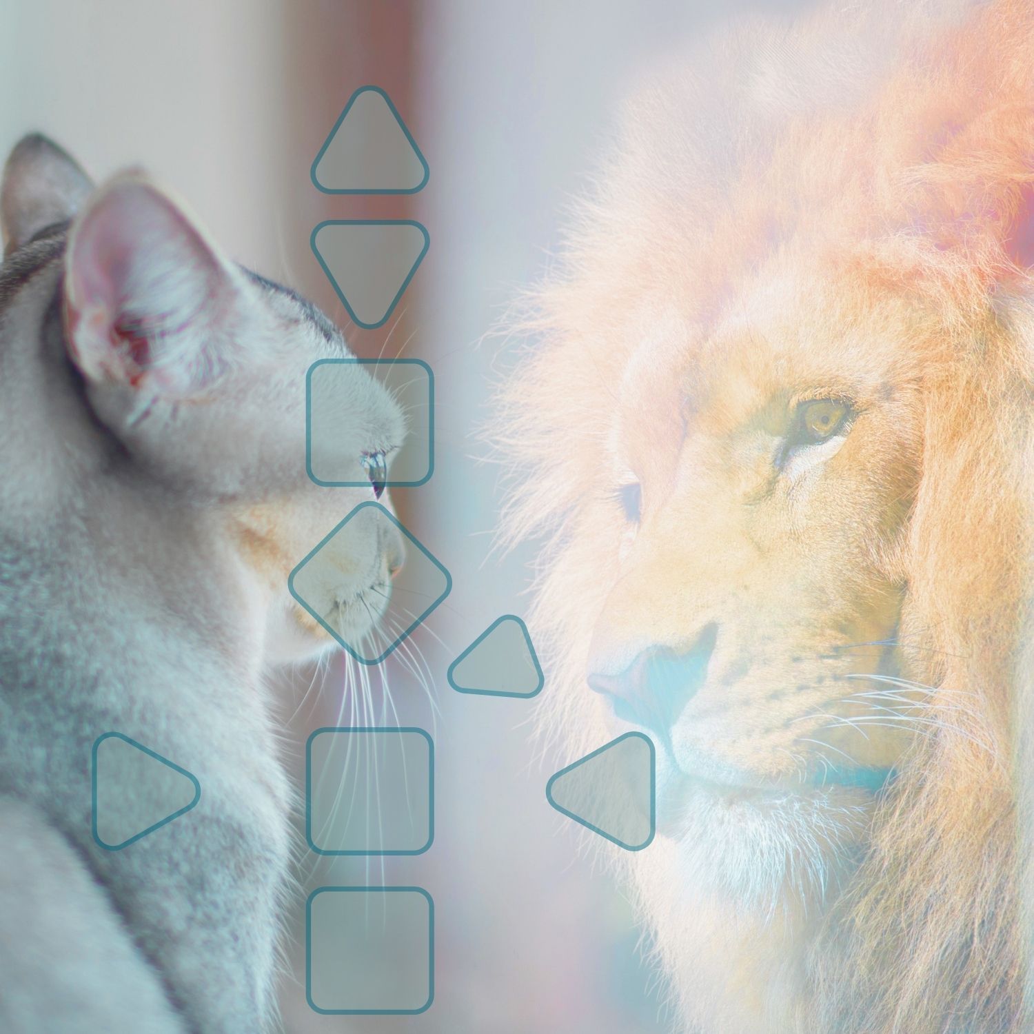 Was, wenn Du bewusst ein anderer Typ bist als im Gesamtchart?