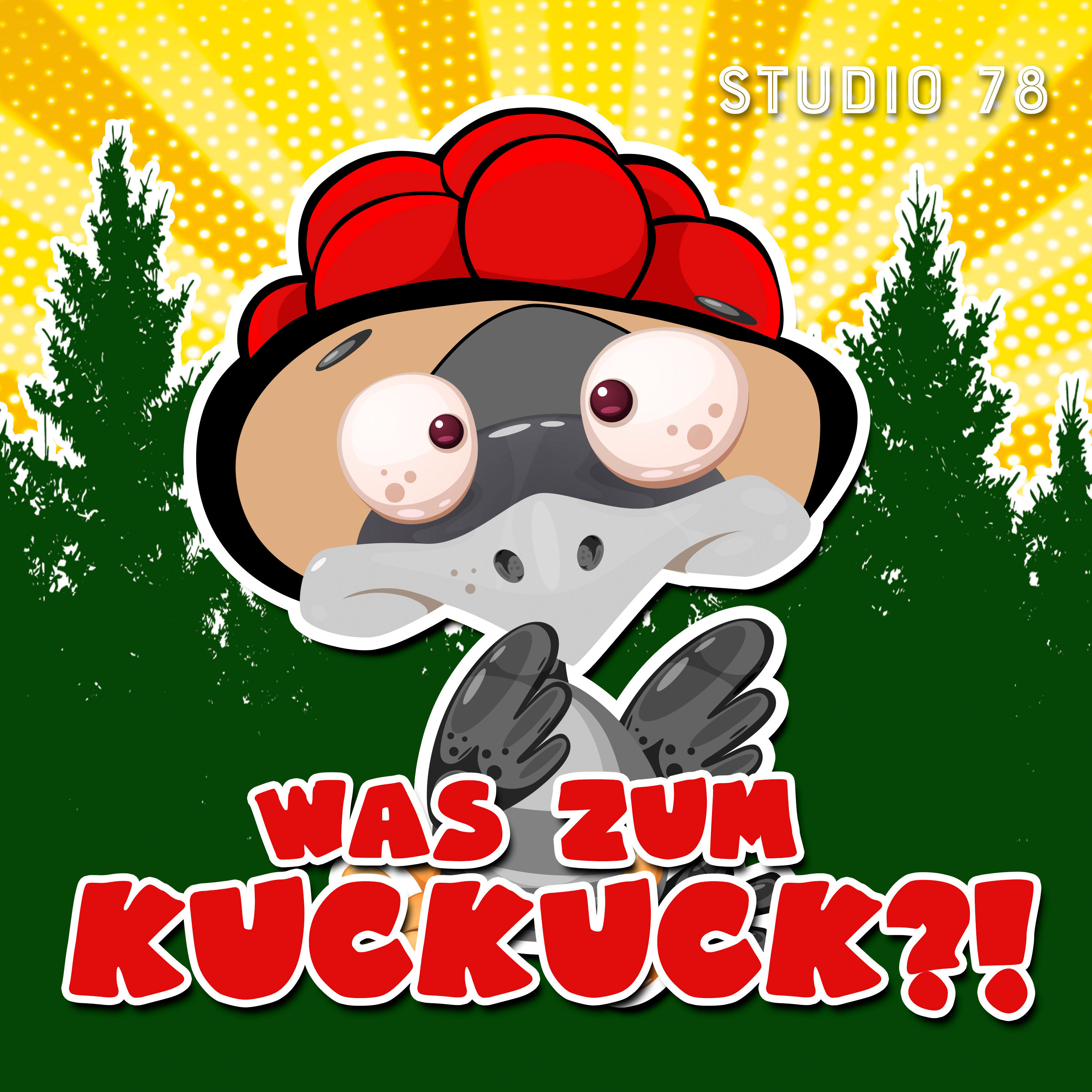 Was zum Kuckuck ist der Nationalpark Schwarzwald?! | Mit Ranger Patrick Stader