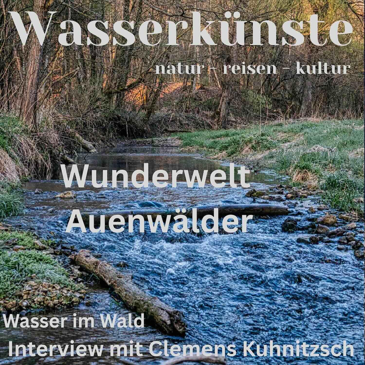 Wasser und Wald - Wunderwelt Auen