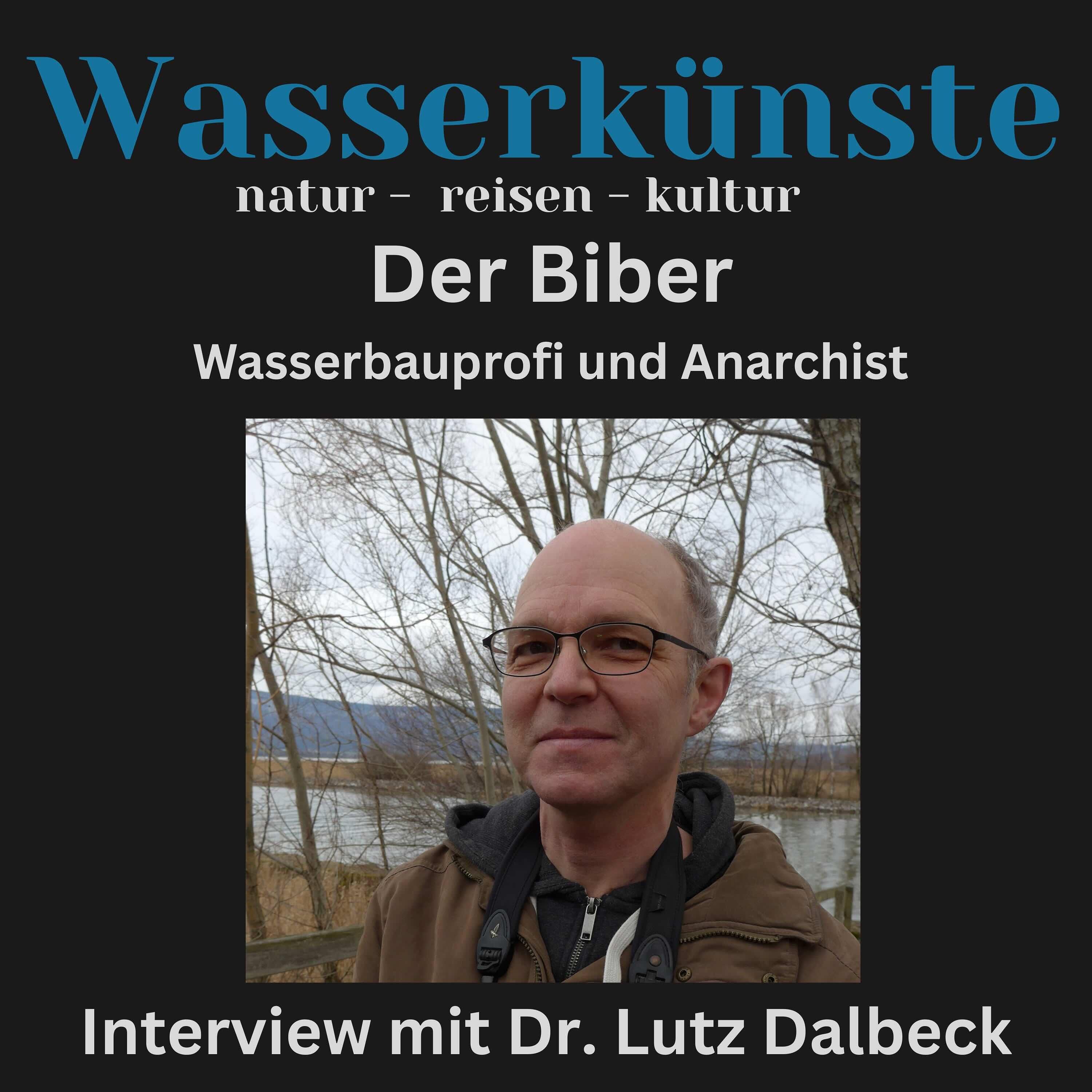Wasserbauprofi und Anarchist - Der Biber