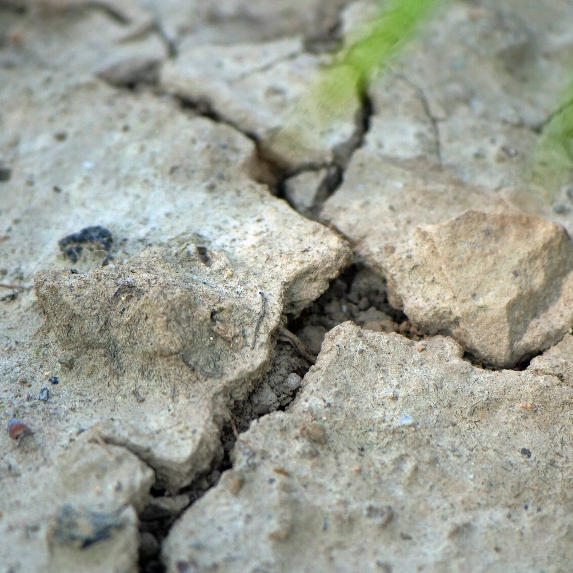 Wassermangel – Wie Dürren das Land verändern