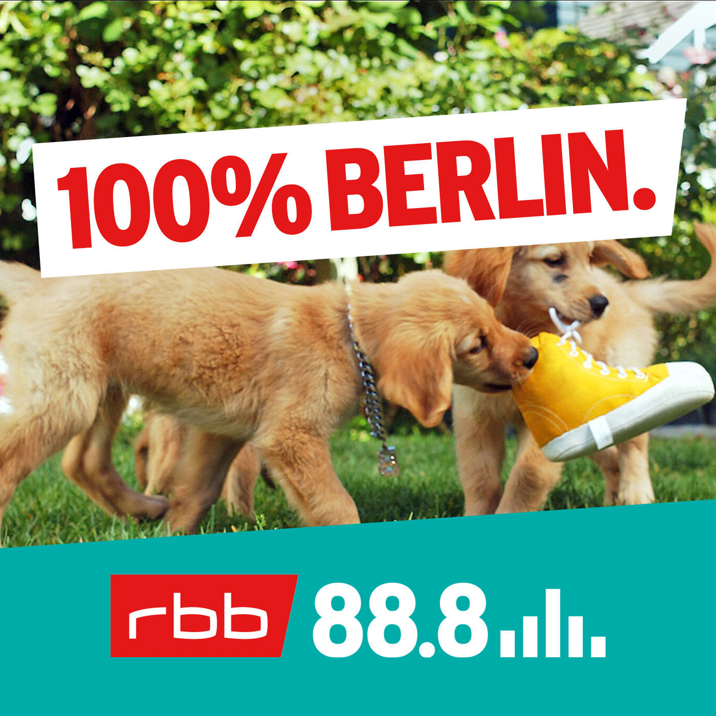 Wau! Die kuriose Geschichte der Hundesteuer in Berlin