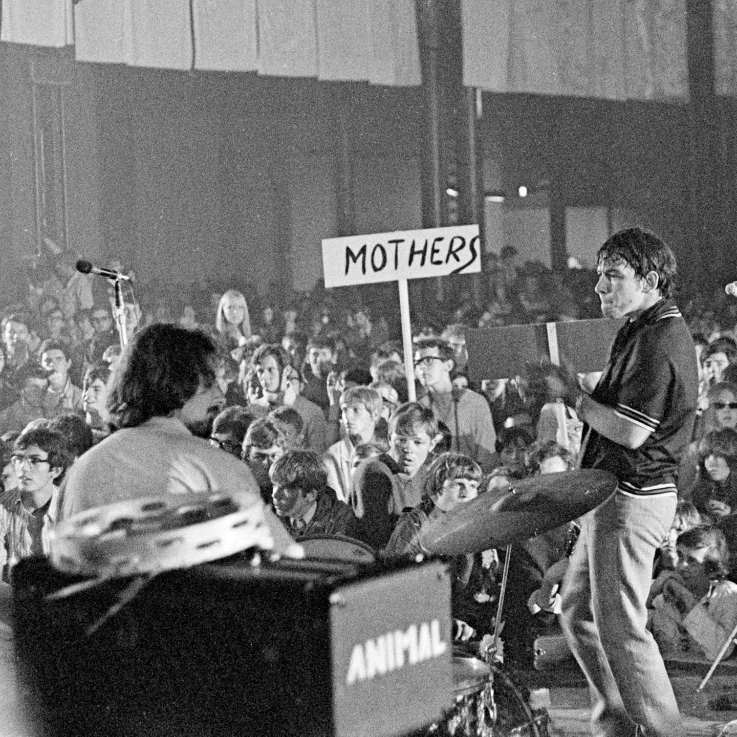 „We Gotta Get Out of This Place“, The Animals