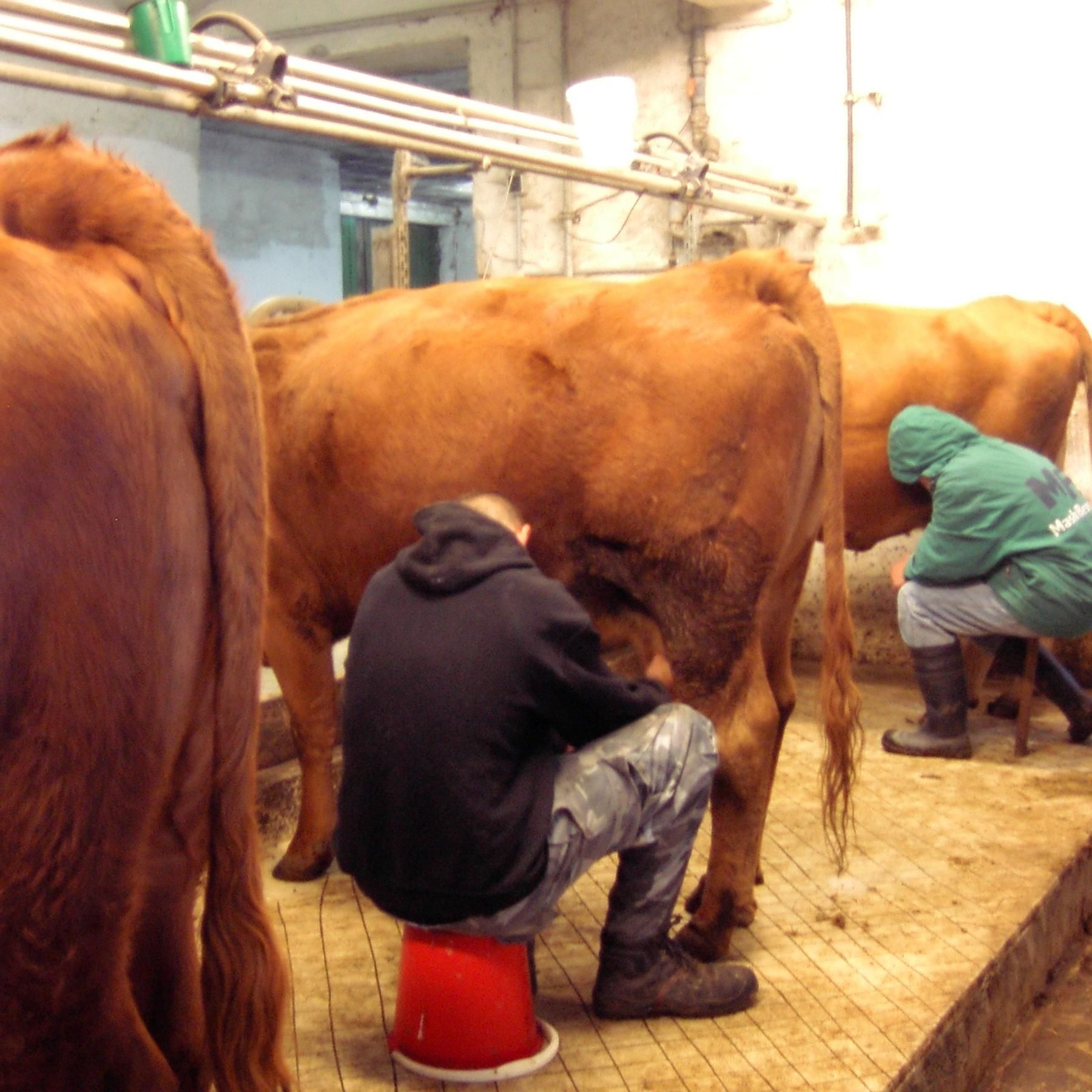 Weg von Kriminalität und Drogen - Teenager nach der Therapie Teil 2/2