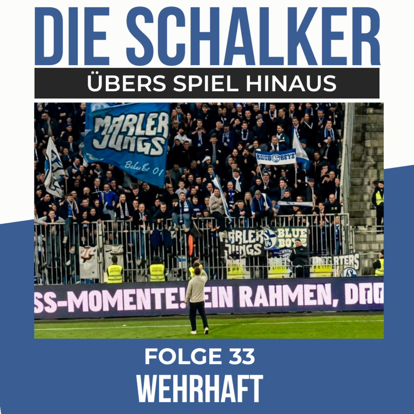 Wehrhaft - Schalke holt verdient Punkt in Darmstadt