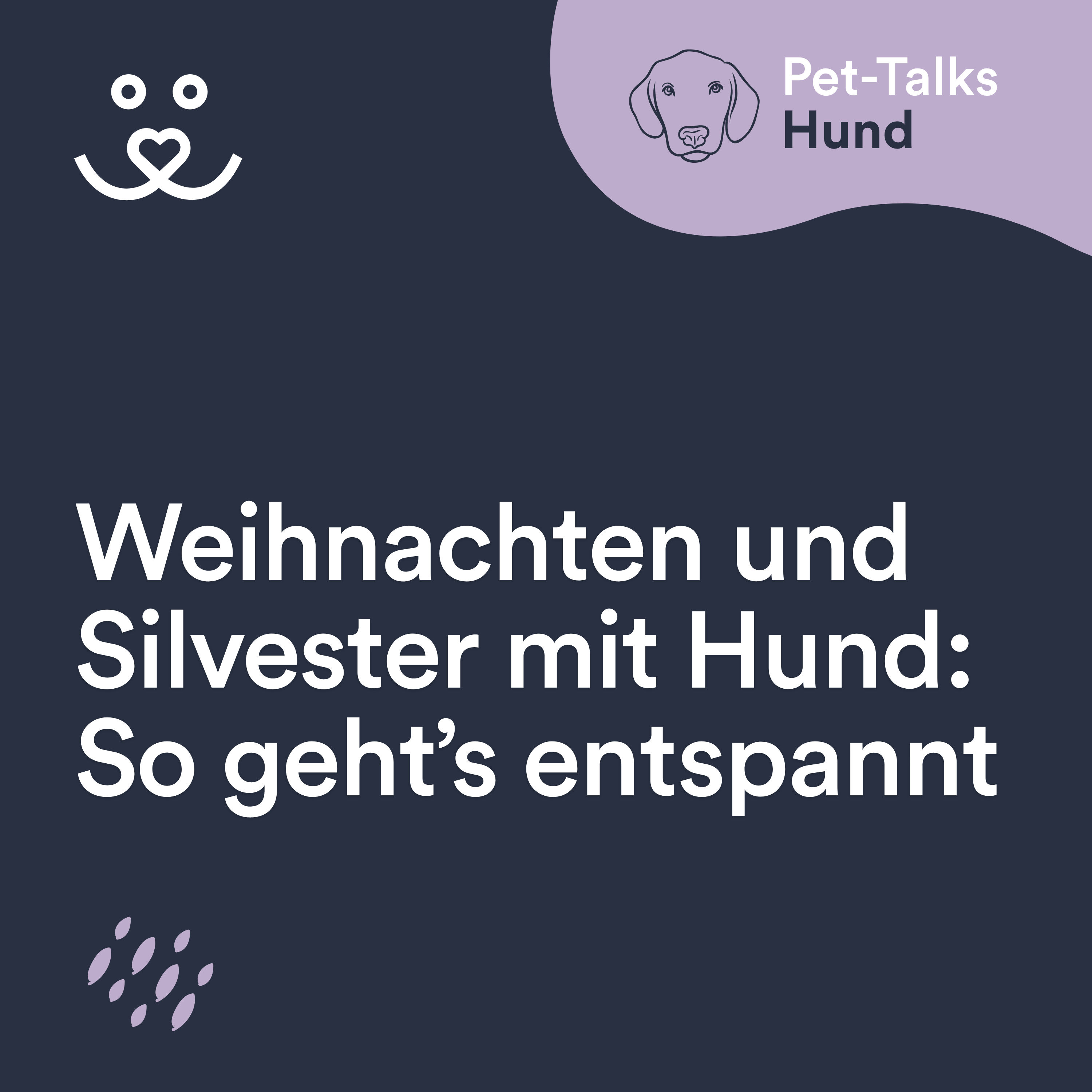 Weihnachten & Silvester mit Hund: So geht’s entspannt