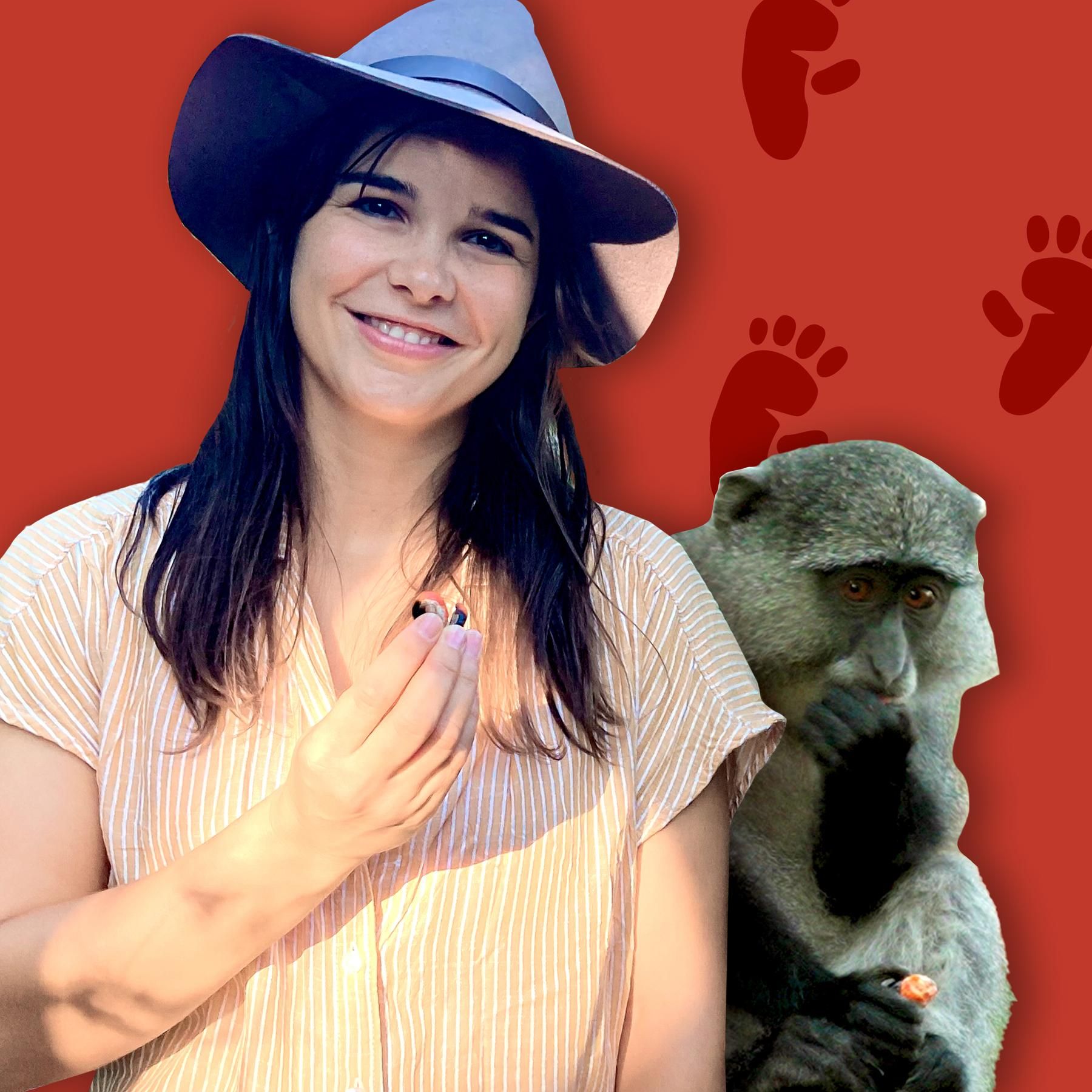 Weißkehlmeerkatzen - Afrikanische Affen, die gerne hamstern