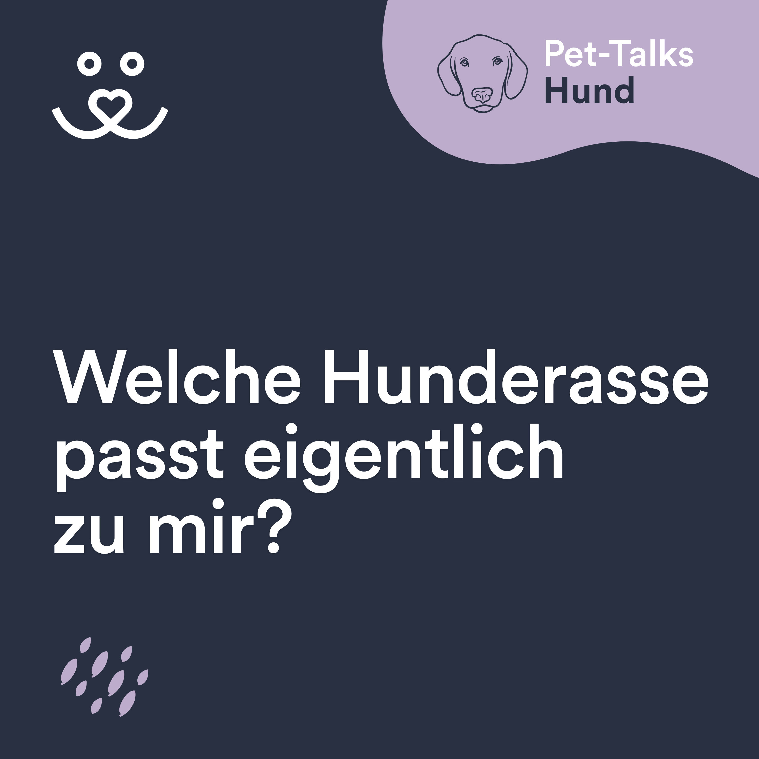 Welche Hunderasse passt wirklich zu mir?