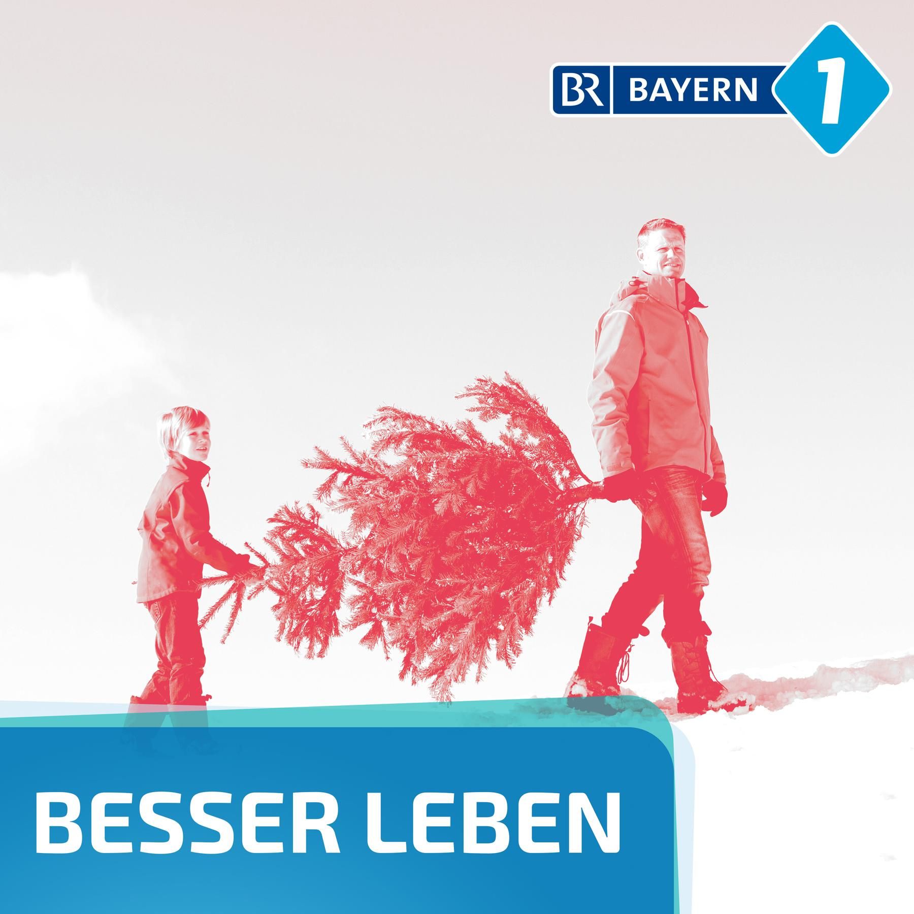 Welchen Christbaum kann ich mit gutem Gewissen kaufen?