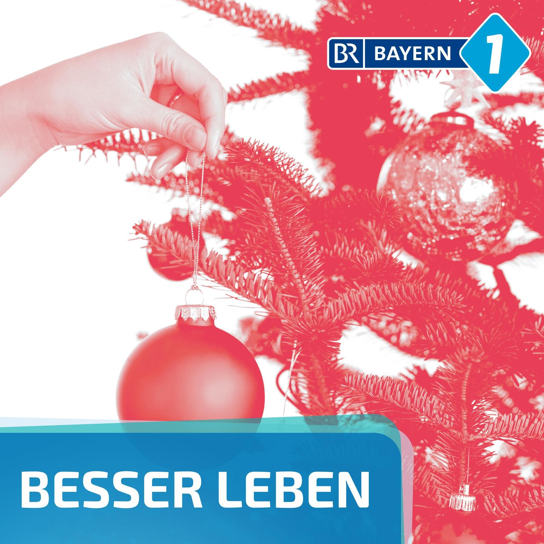 Welchen Christbaum kann man guten Gewissens kaufen?