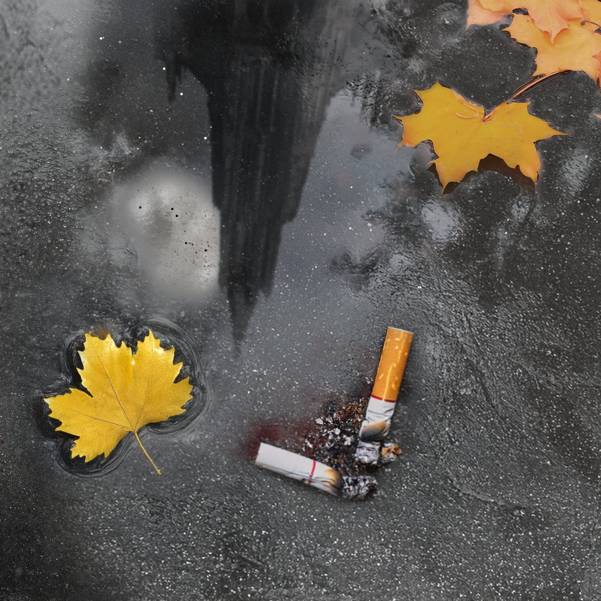 Welcome to Dadonlandia (1/6)