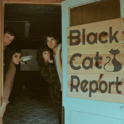 Welcome to the Black Cat Report!