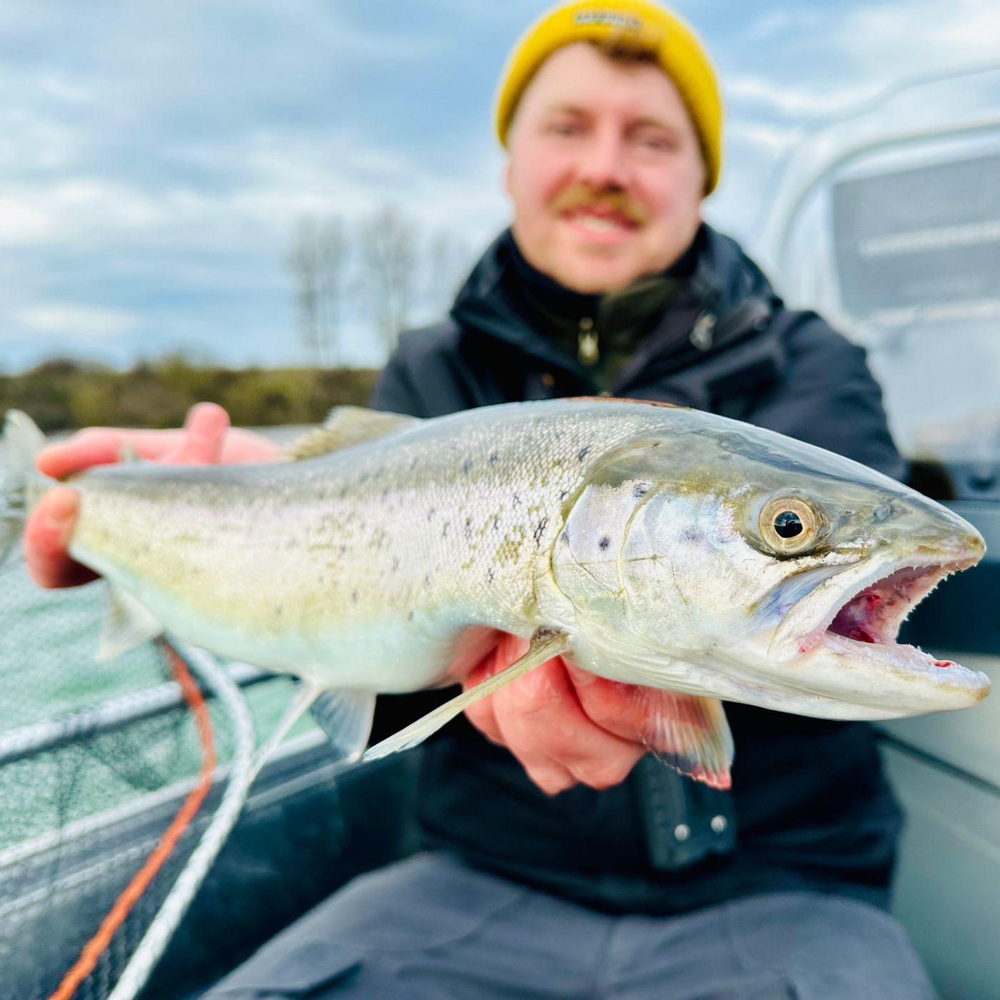 Welle bringt Forelle! Clemens knackt den MeFo-Code | #142