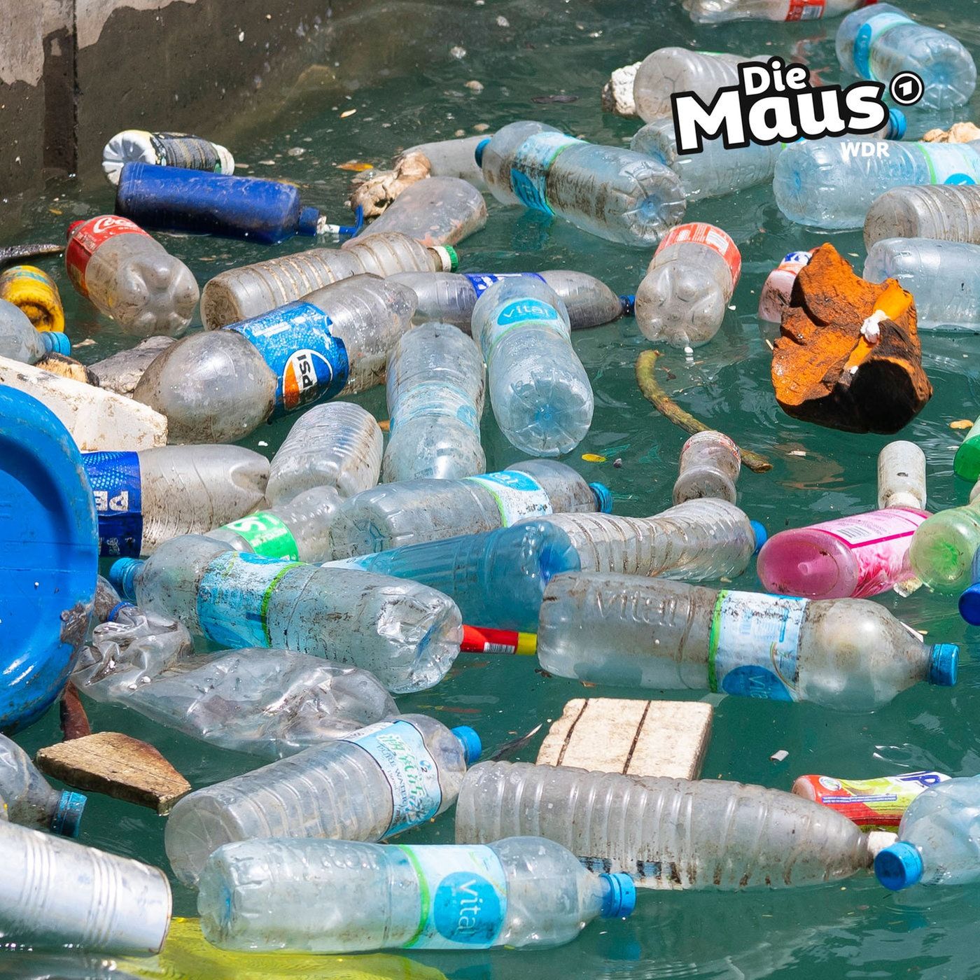 Weltumwelttag - So vermeiden wir Plastikmüll