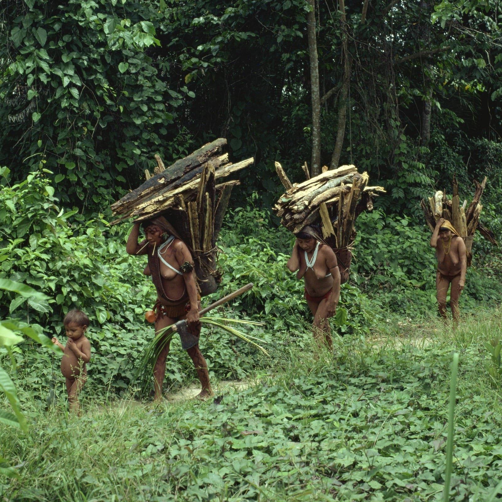 Weltweit knapp 200 Völker ohne Kontakt nach außen