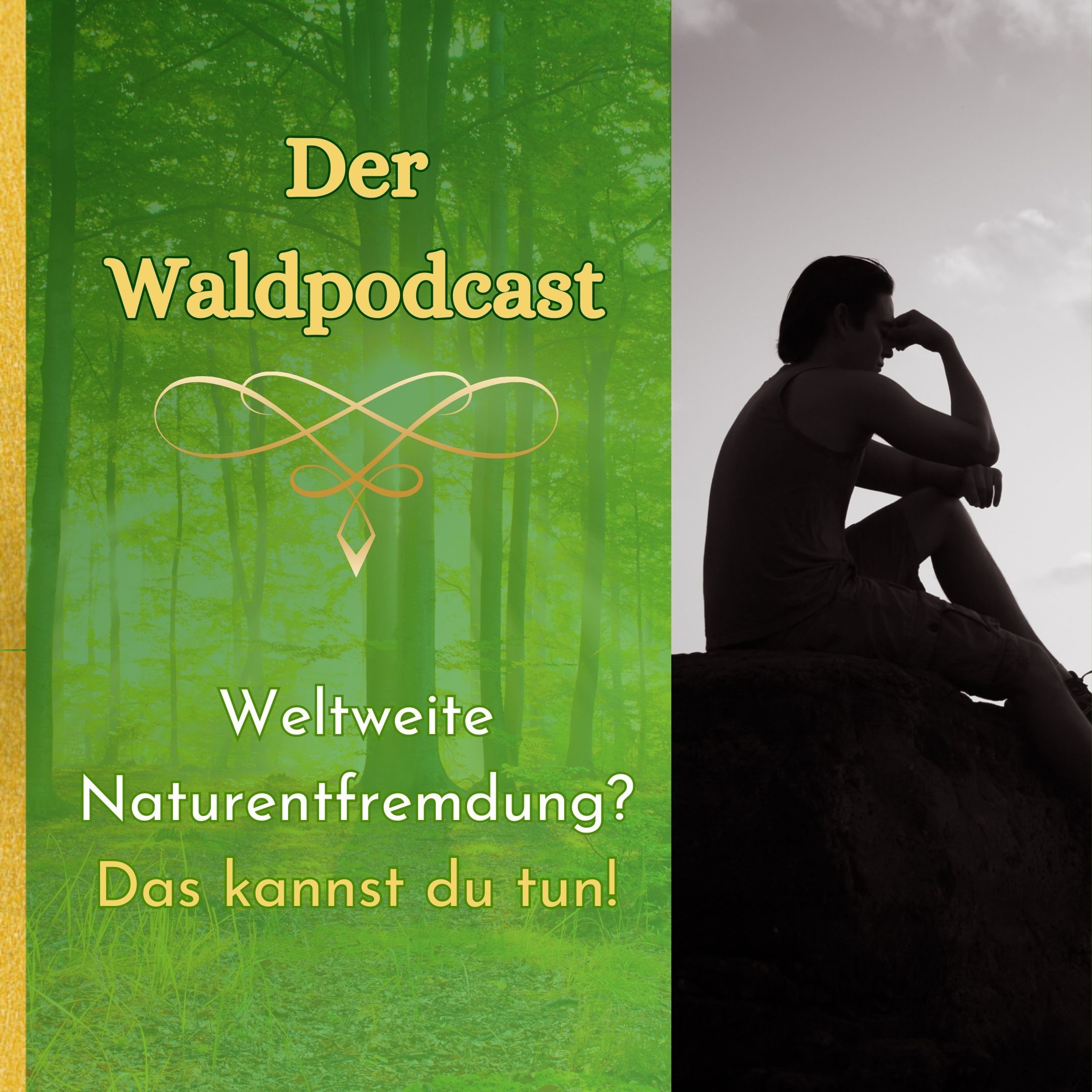 Weltweite Naturentfremdung? Das kannst du tun!