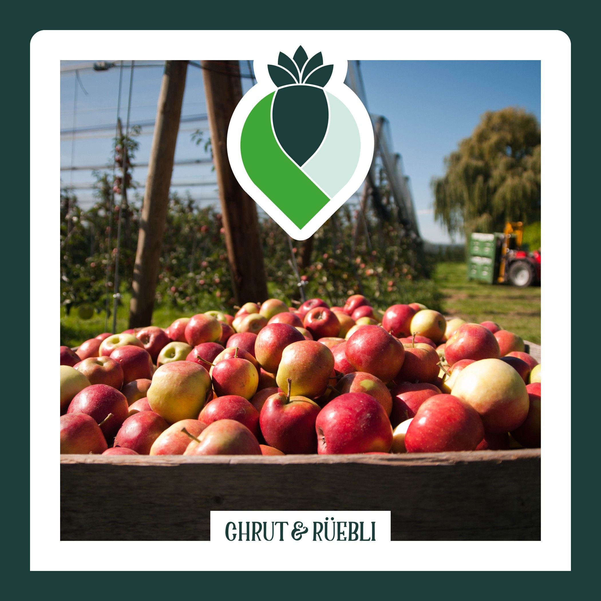 Weniger Pflanzenschutzmittel bei Äpfeln und Birnen. So geht’s.