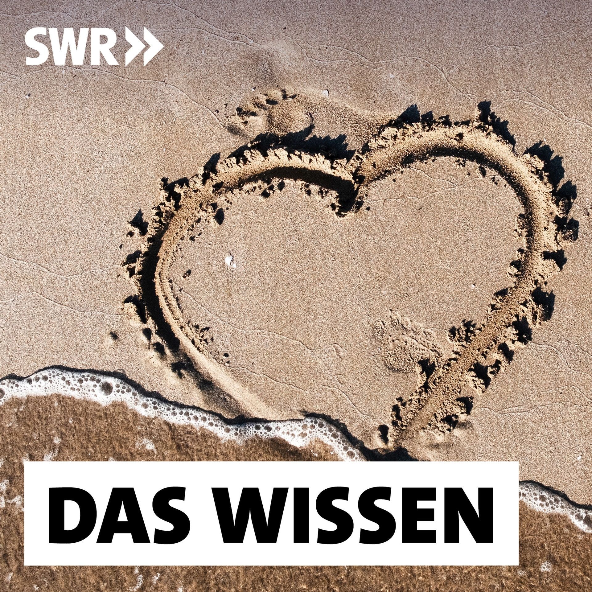 Wenn die Liebe schwindet – Wie sich Trennungen anbahnen