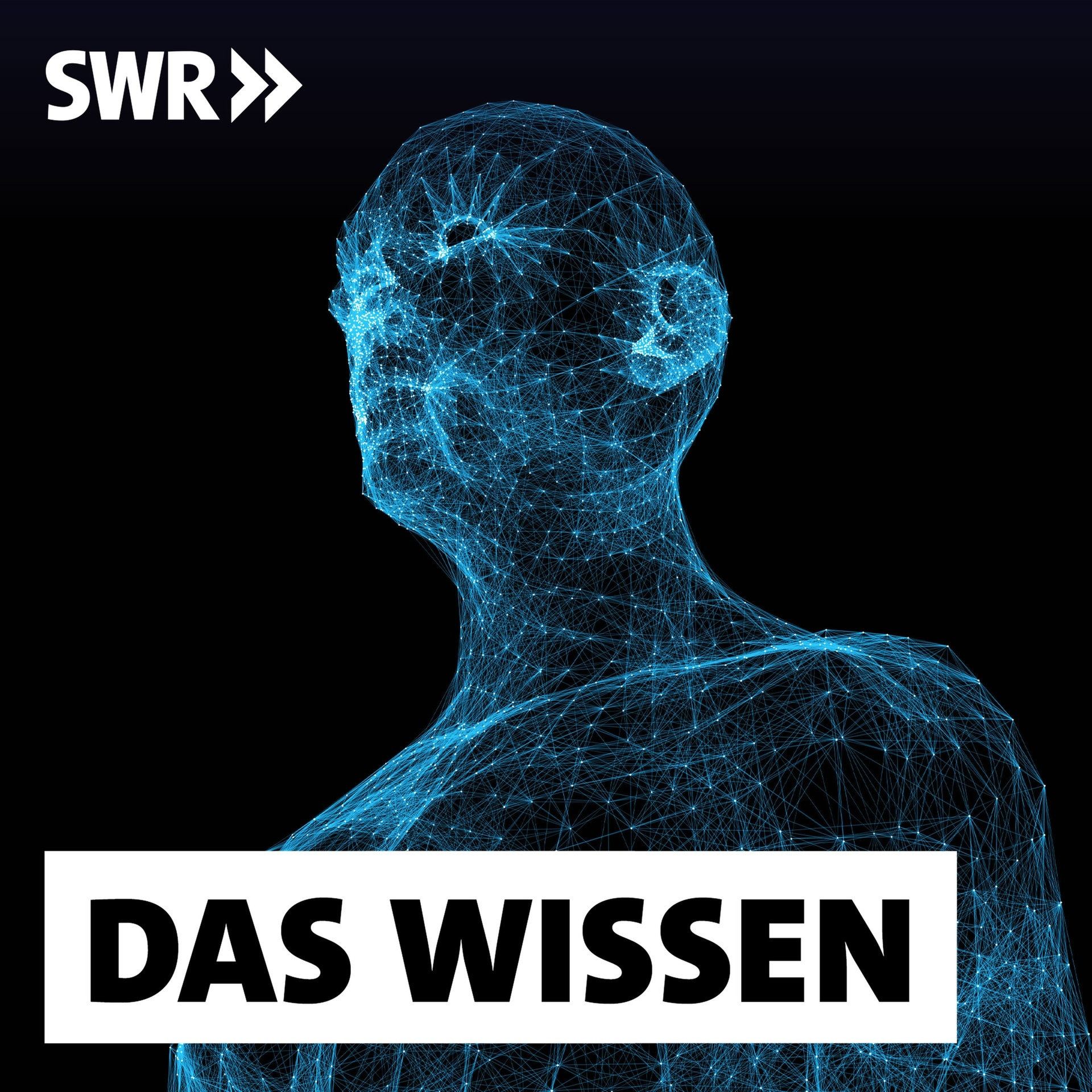 Wenn KI Entscheidungen trifft – Hilfreich bis tödlich