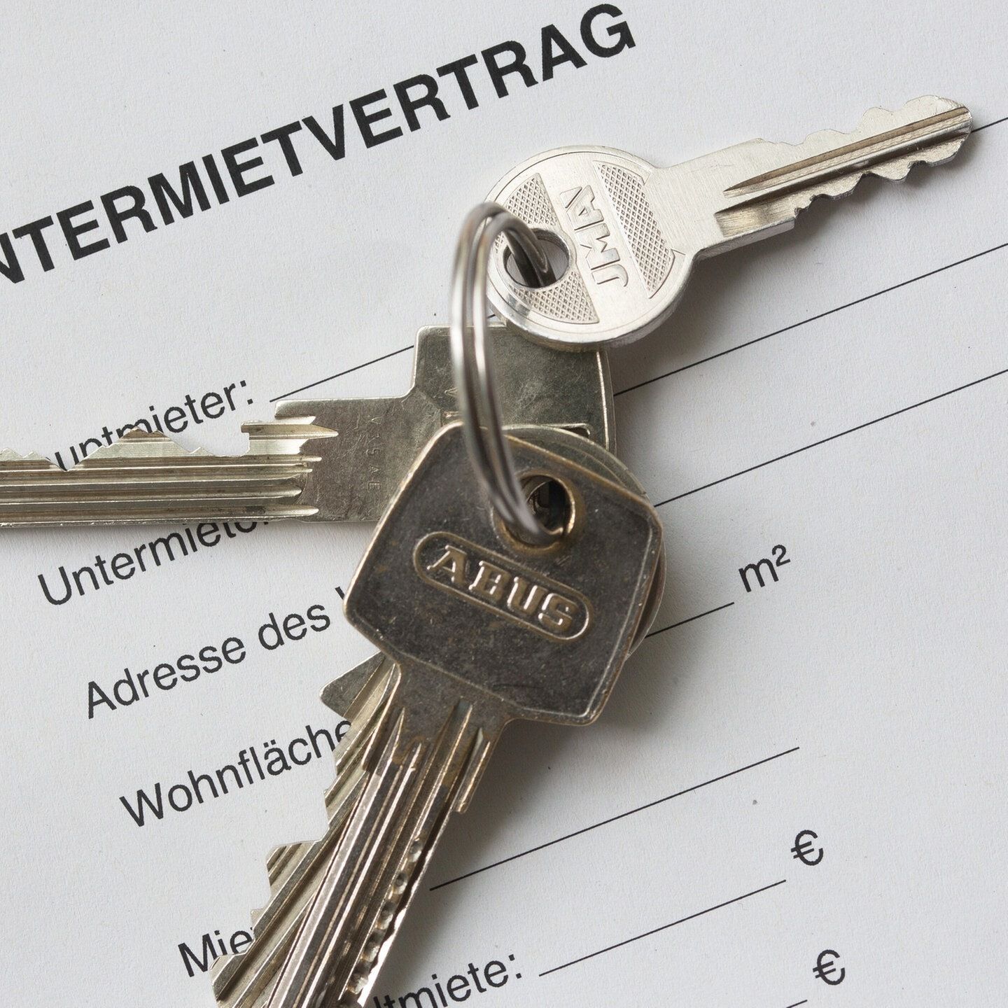 Wenn Mieter zum Ver-Mieter werden