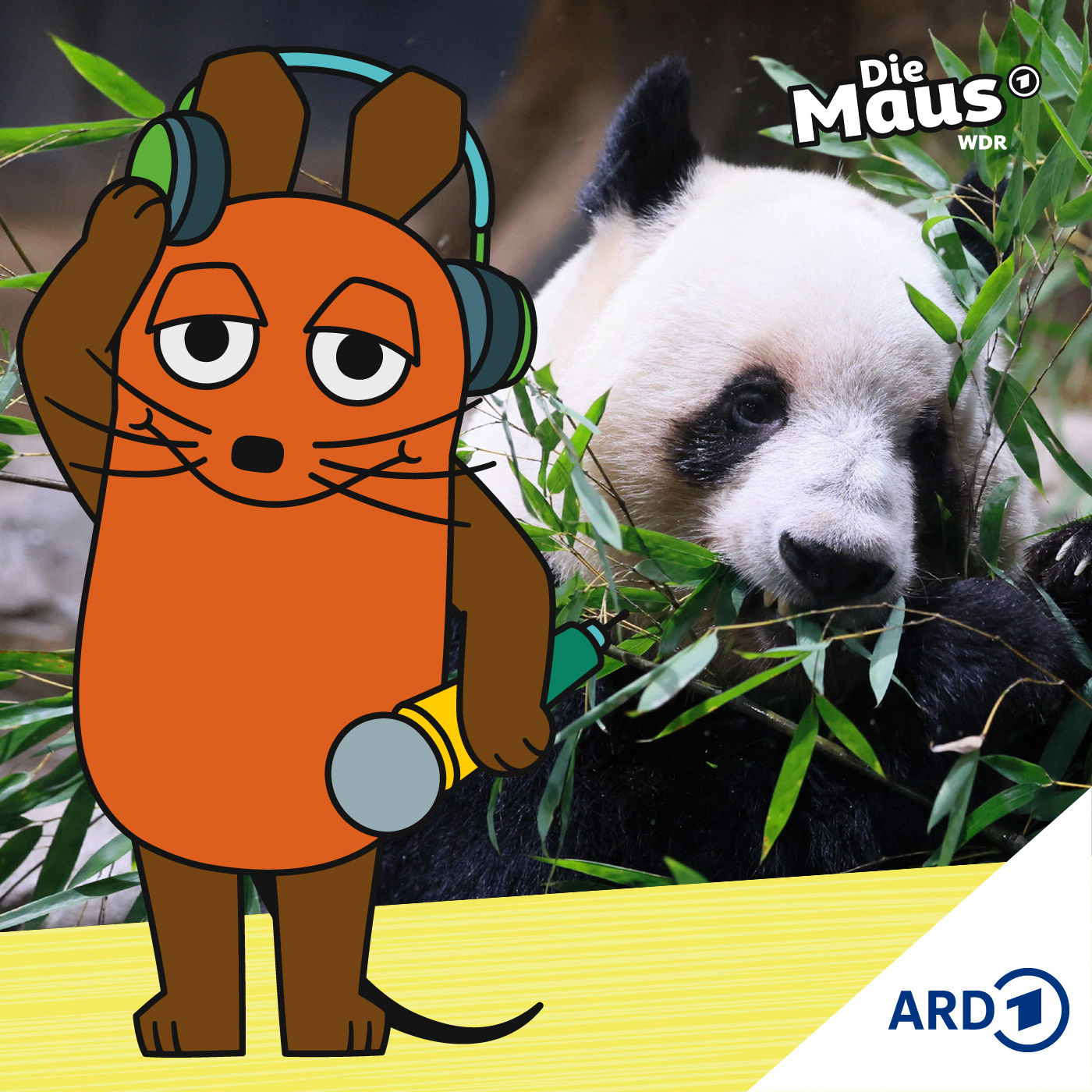 Wenn mit Pandas Politik gemacht wird