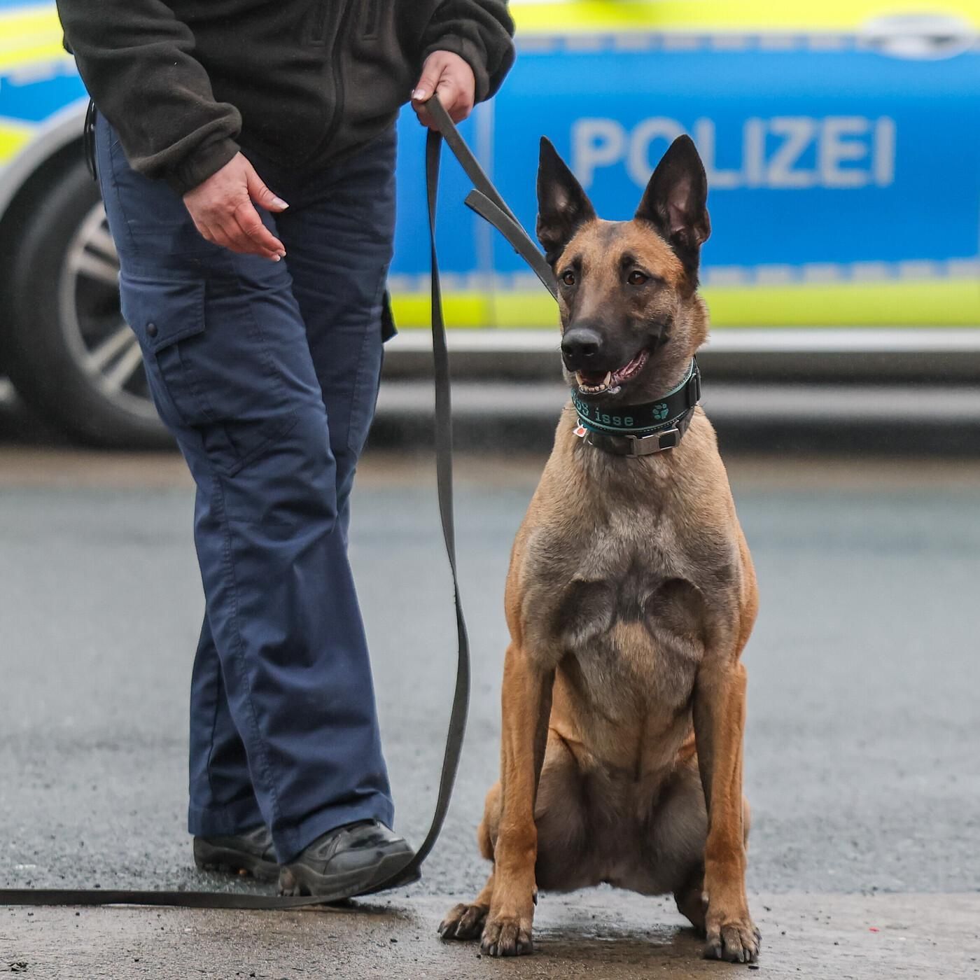 Wenn Polizeihunde zur Gefahr werden - wie gut ist die Ausbildung?