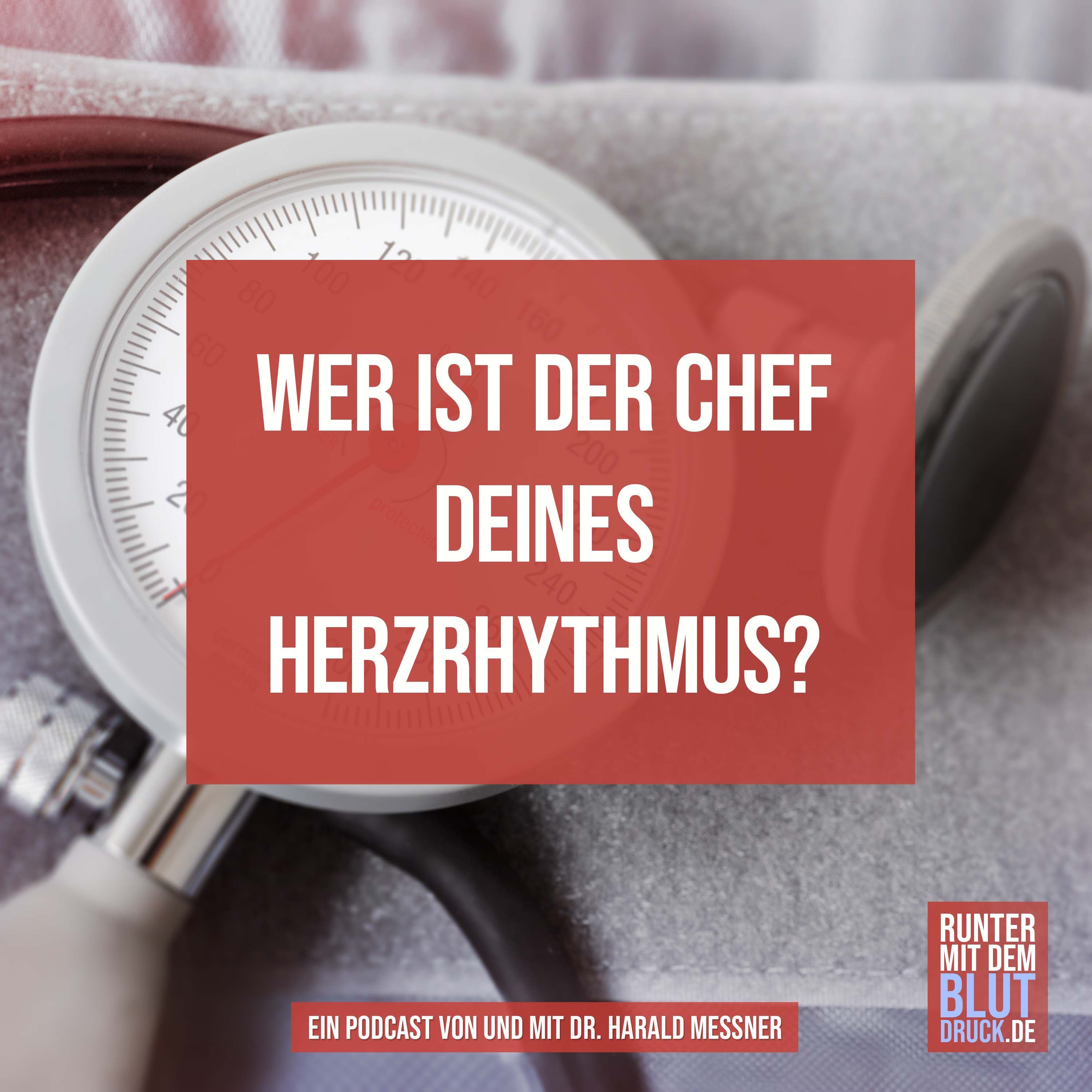 Wer ist der Chef deines Herzrhythmus?