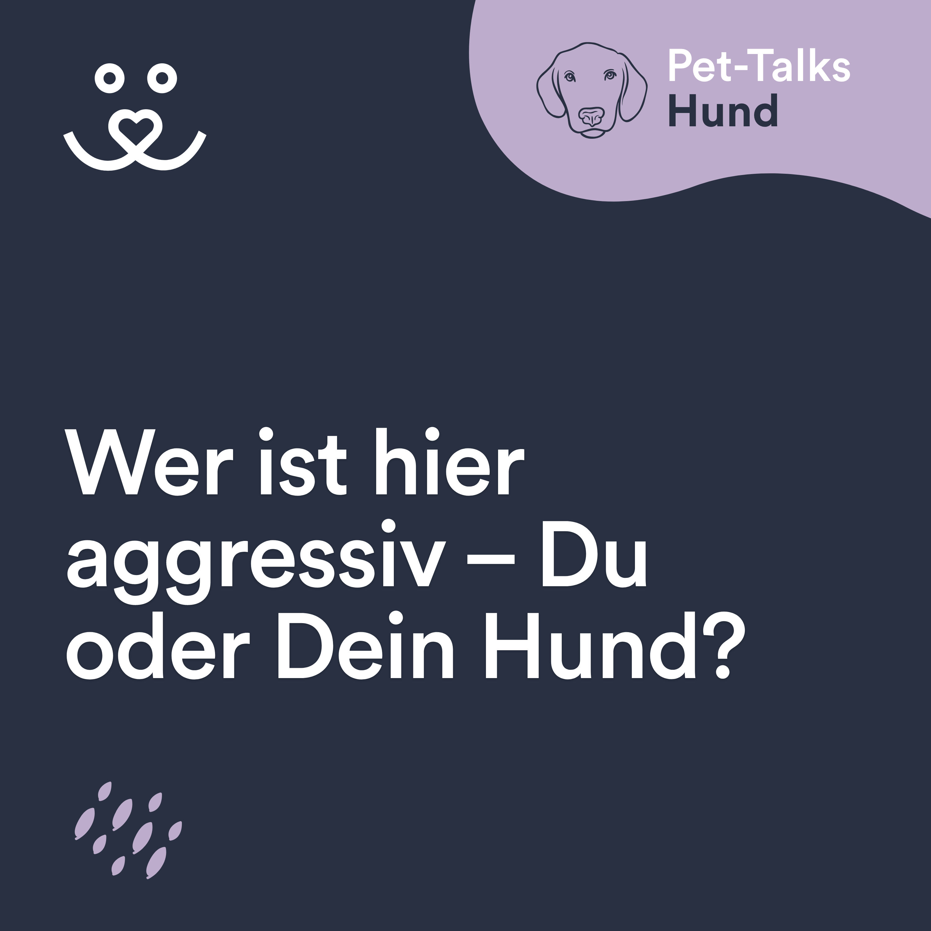 Wer ist hier aggressiv – Du oder Dein Hund?