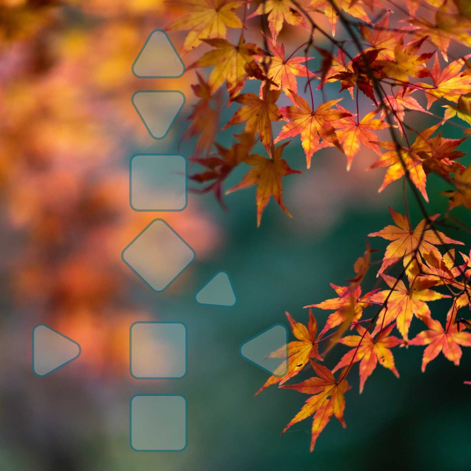 Wertvolle Erinnerungen und der Übergang ins 4. Quartal