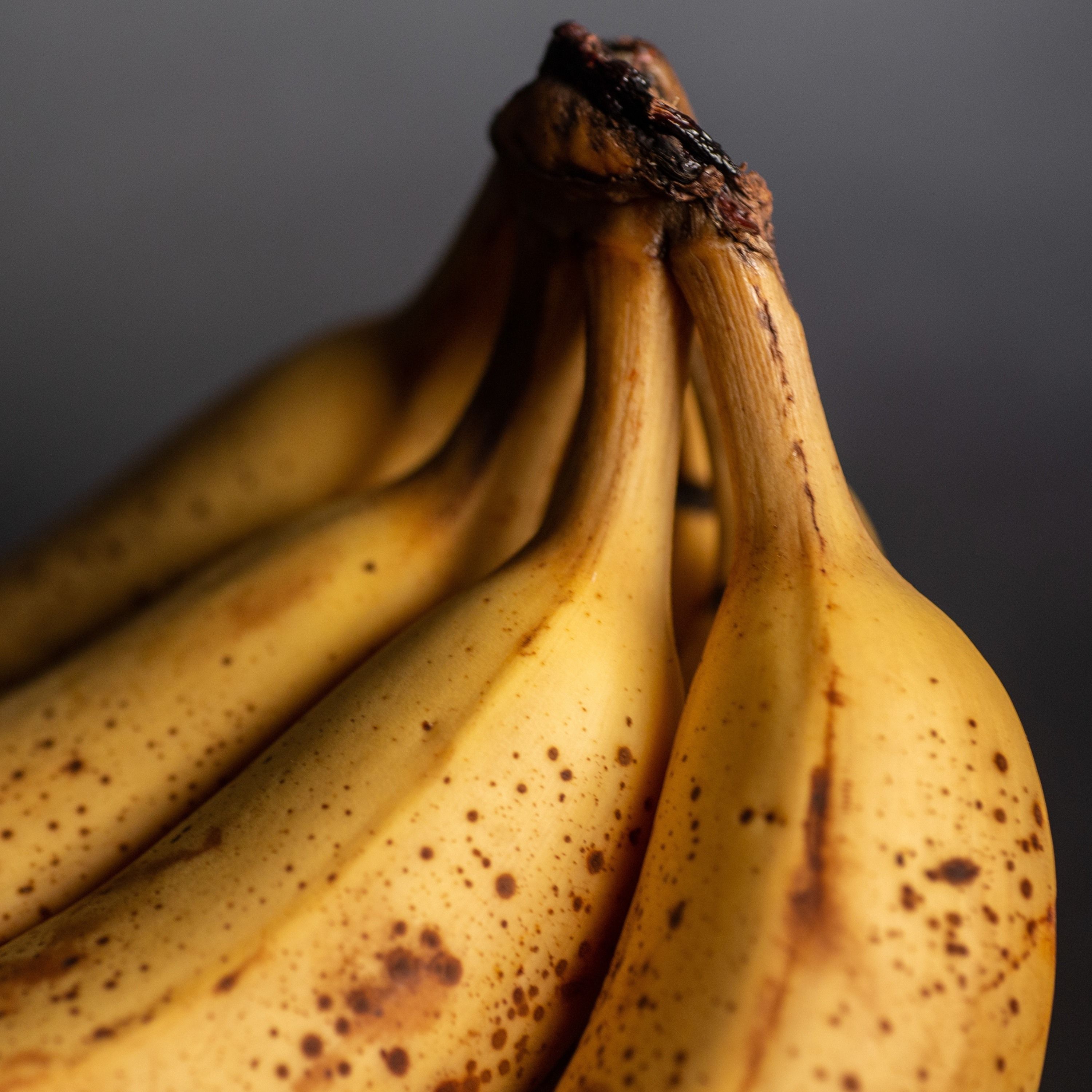 Whitney Houston, Ostapenko Und Fruchtfliegen