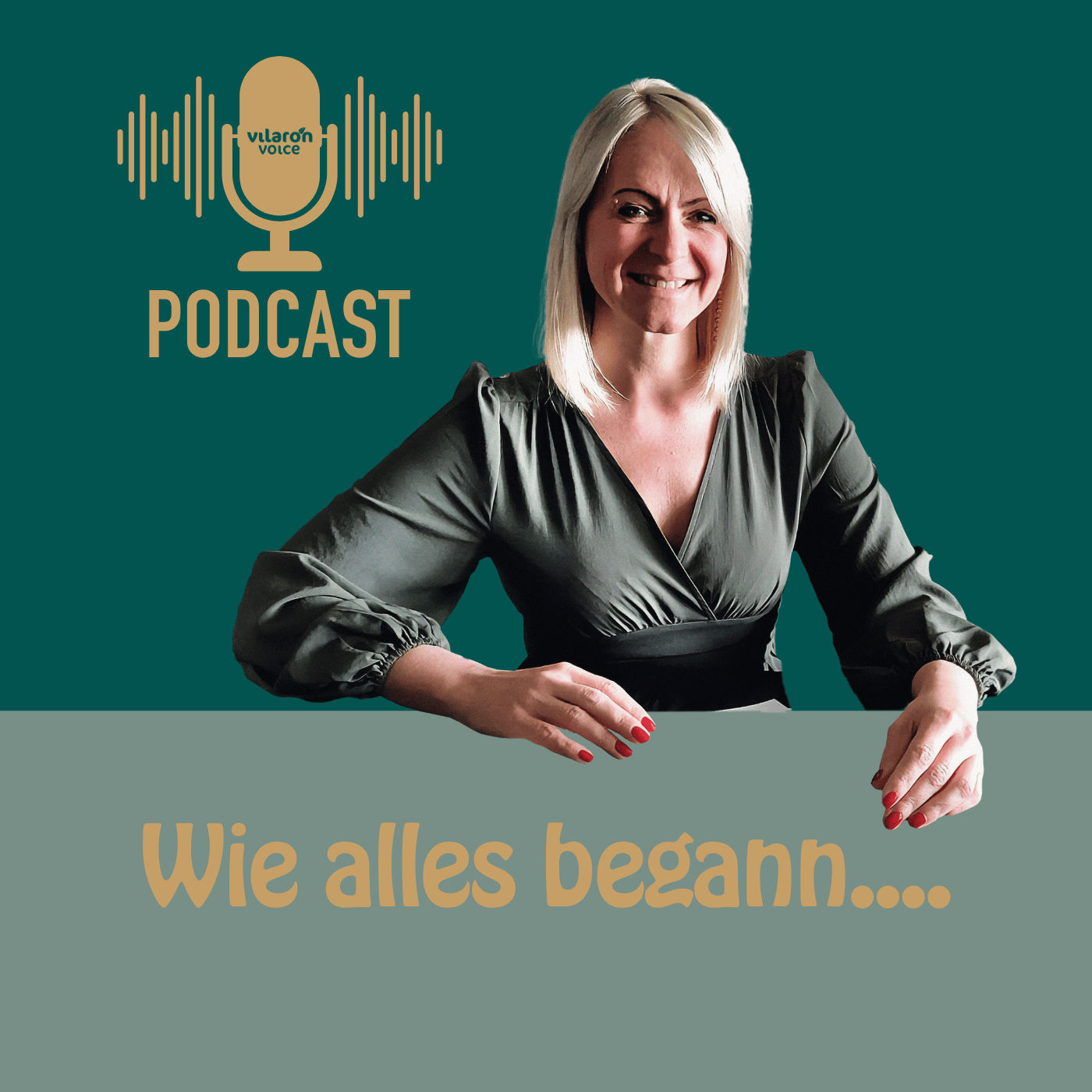 Wie alles begann – Der Start von vilaron voice