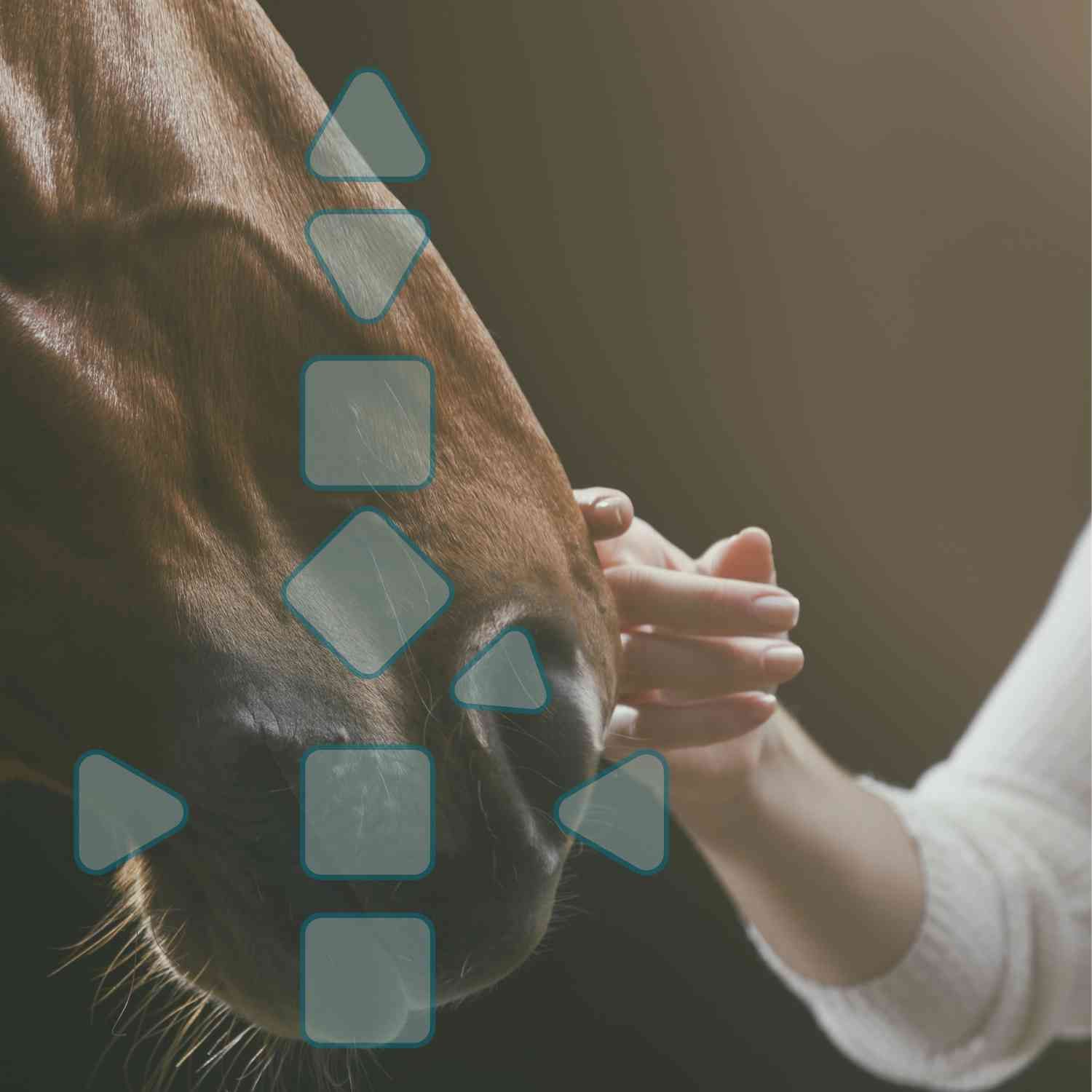 Wie das Gefühl “nicht gut genug” zu sein zum wichtigen Wegweiser werden kann