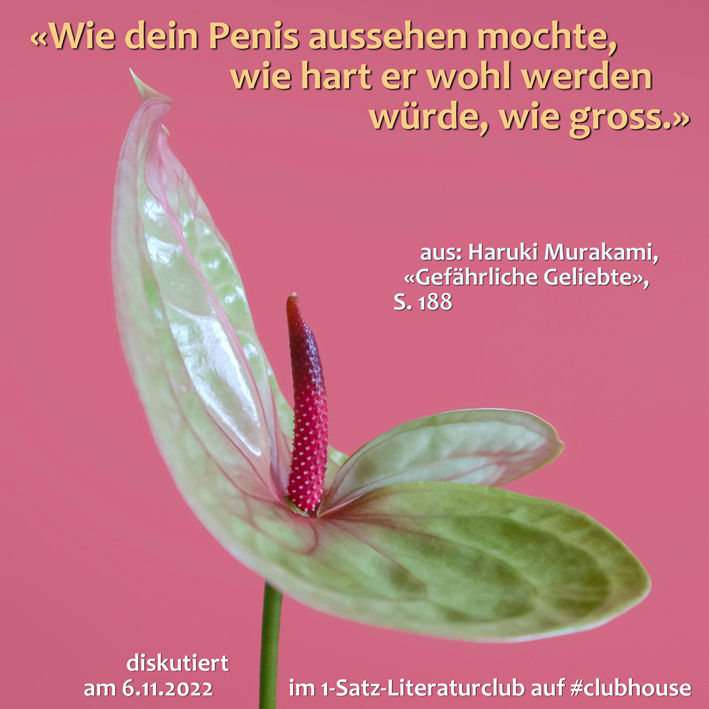 «Wie dein Penis aussehen mochte, wie hart er wohl werden würde, wie gross.»