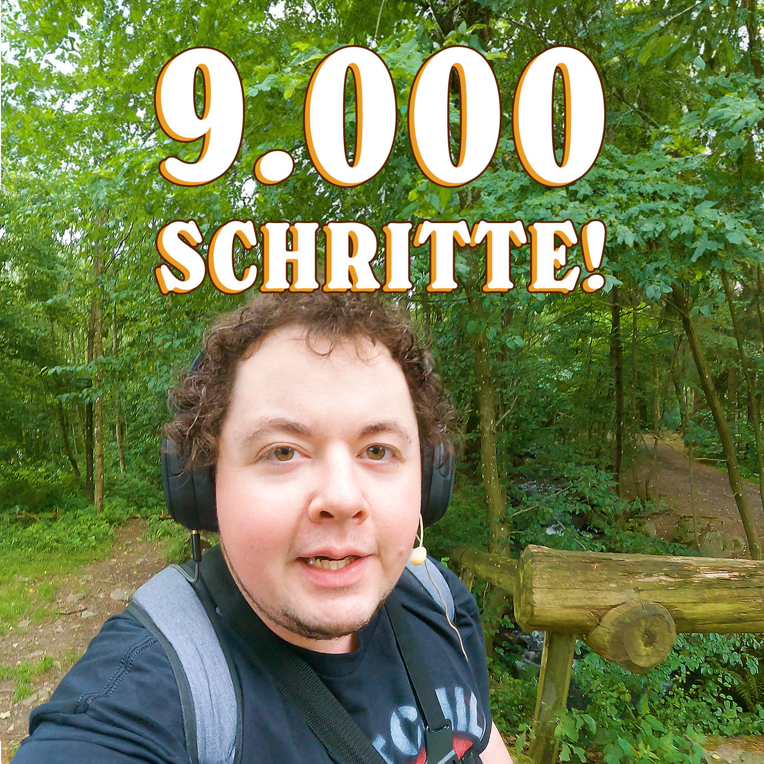 Wie die DB Regio mein Leben sabotiert hat. | Schritt für Schritt: 9K